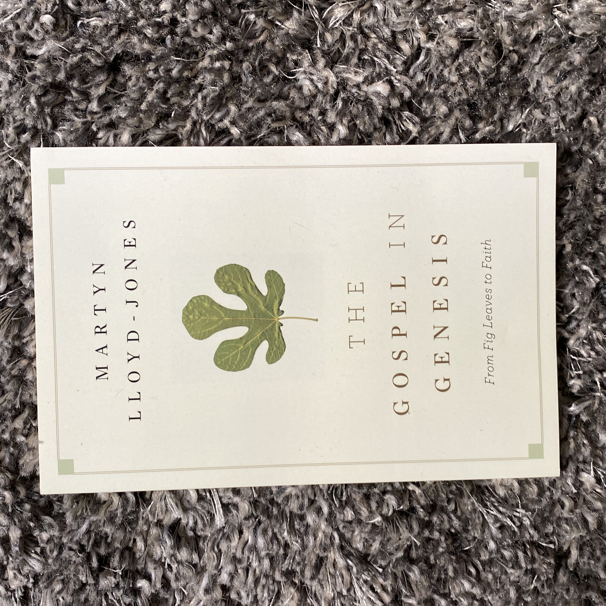 The Gospel in Genesis