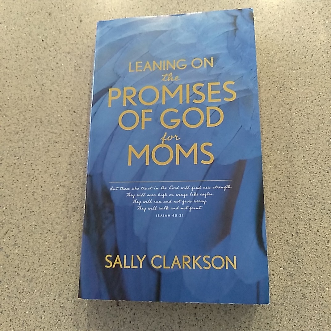 Leaning on the Promises of God for Moms