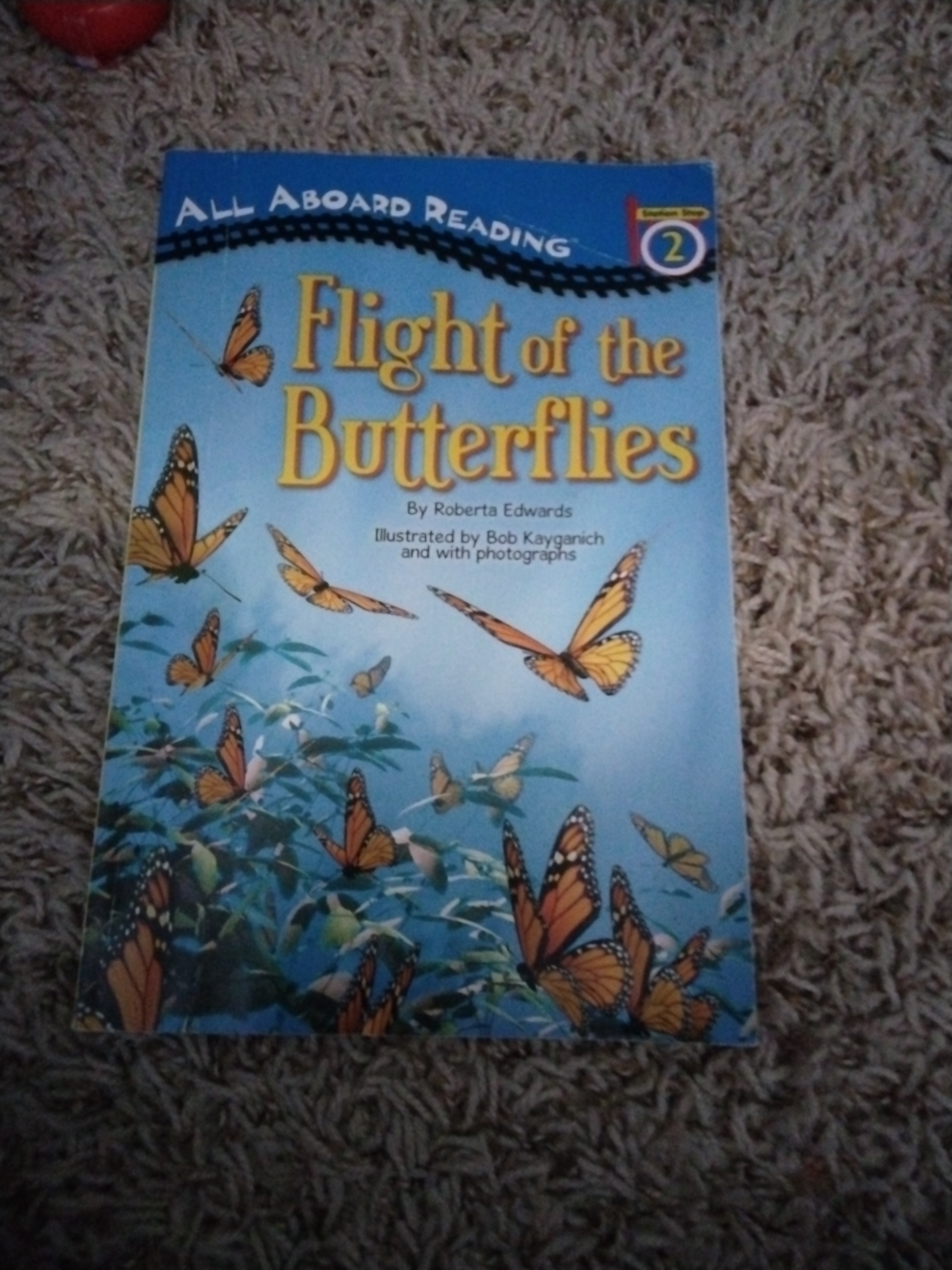 Flight of the Butterflies