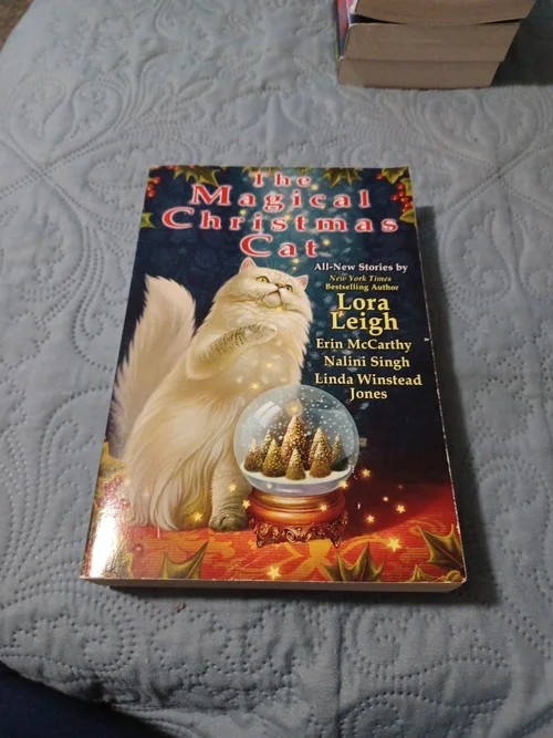 The Magical Christmas Cat