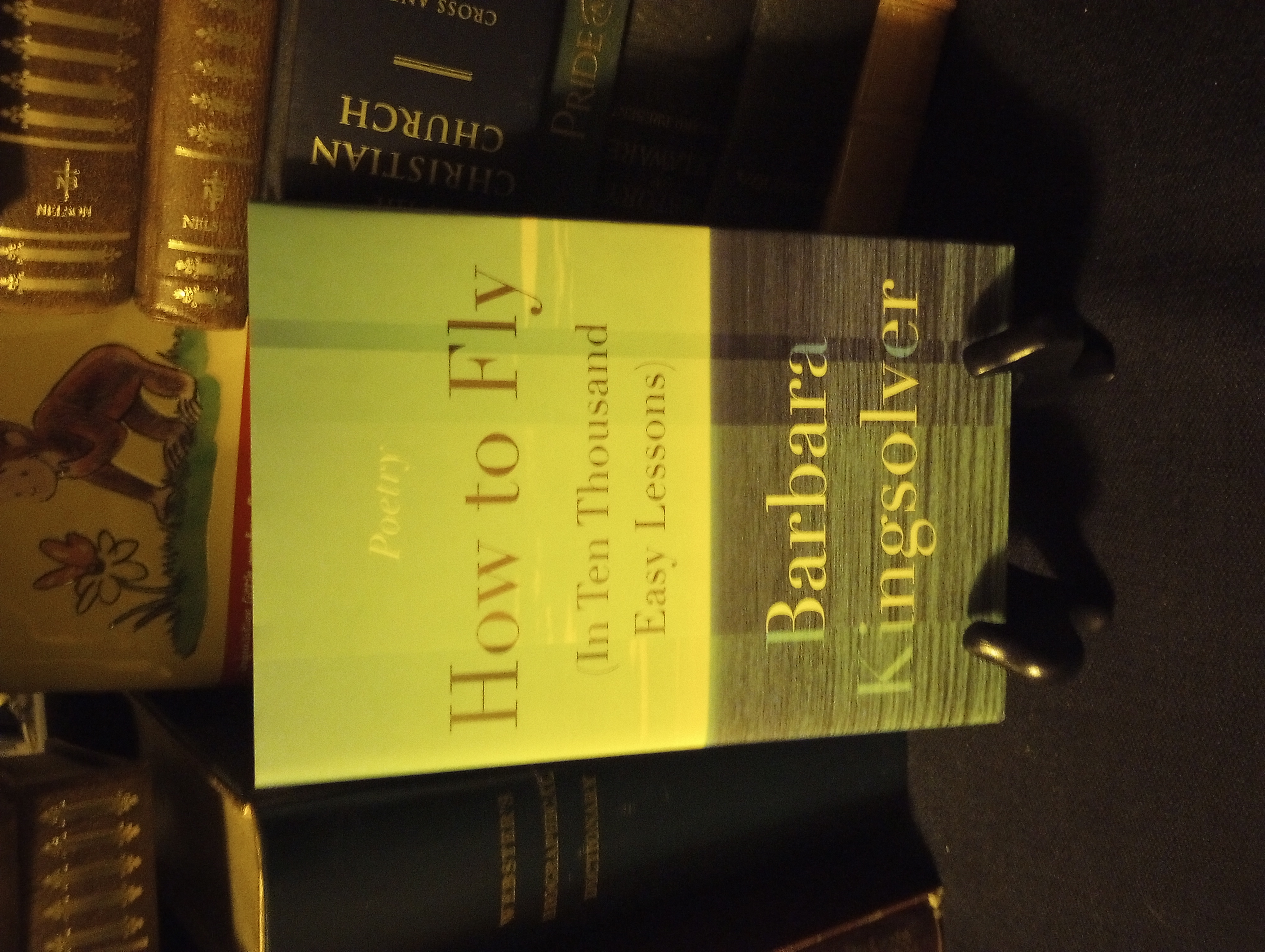 How to Fly (in Ten Thousand Easy Lessons)