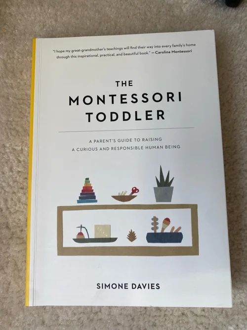 The Montessori Toddler