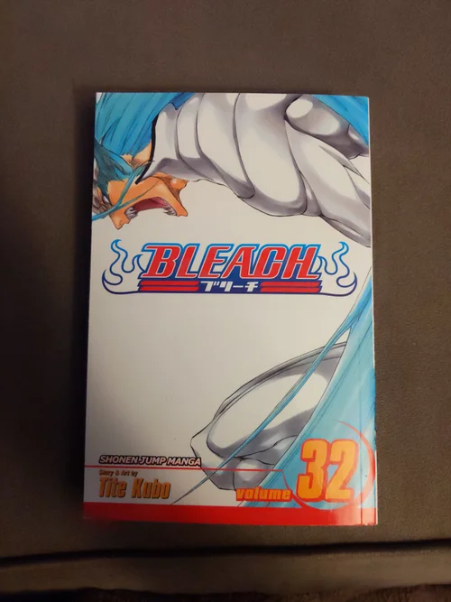 Bleach, Vol. 32