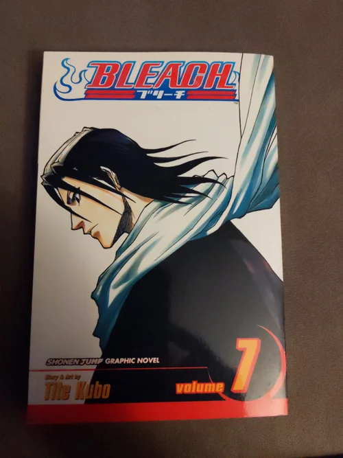 Bleach, Vol. 7