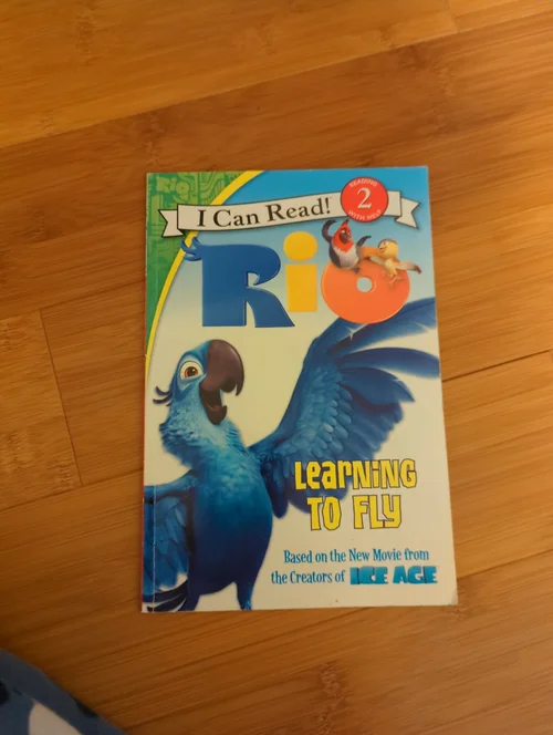 Rio - Learning to Fly