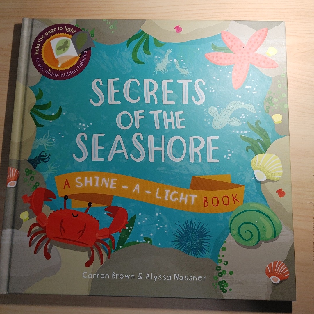 Secrets of the Seashore