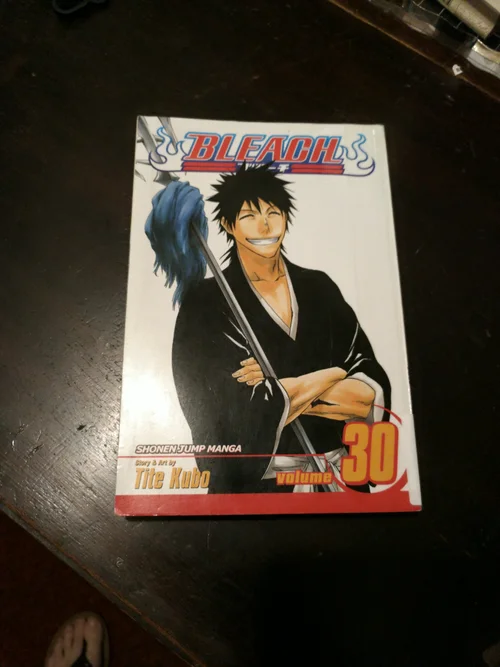 Bleach, Vol. 30