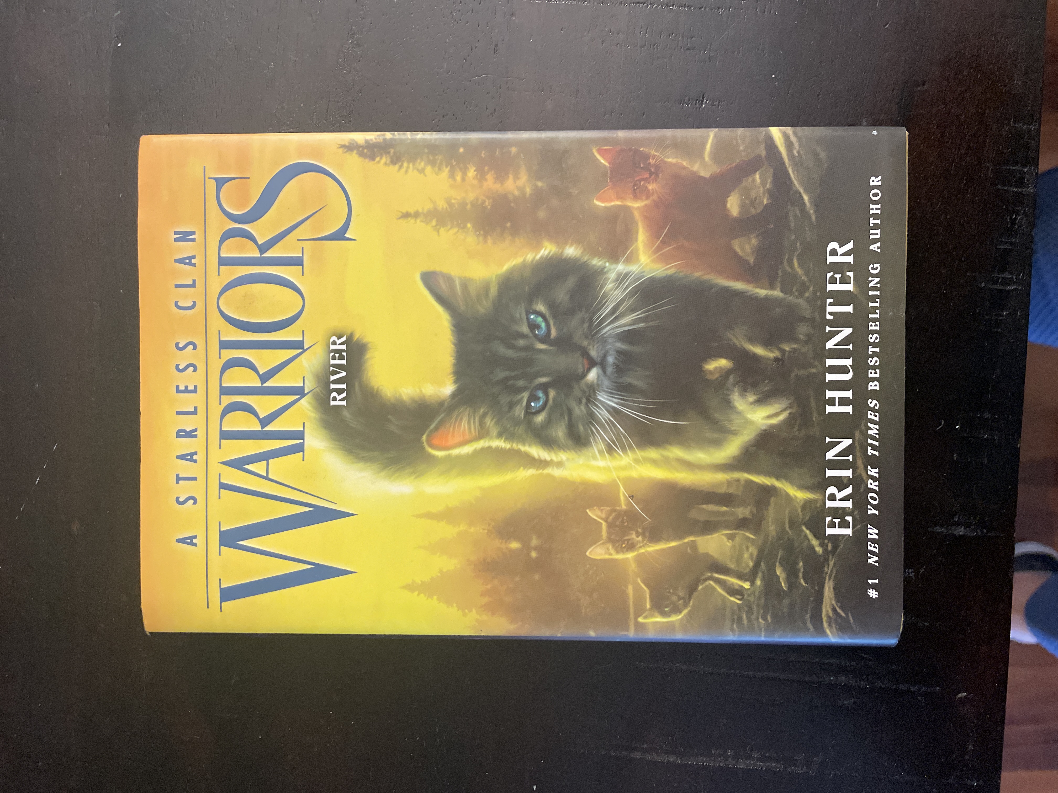 Warriors: a Starless Clan #1: River