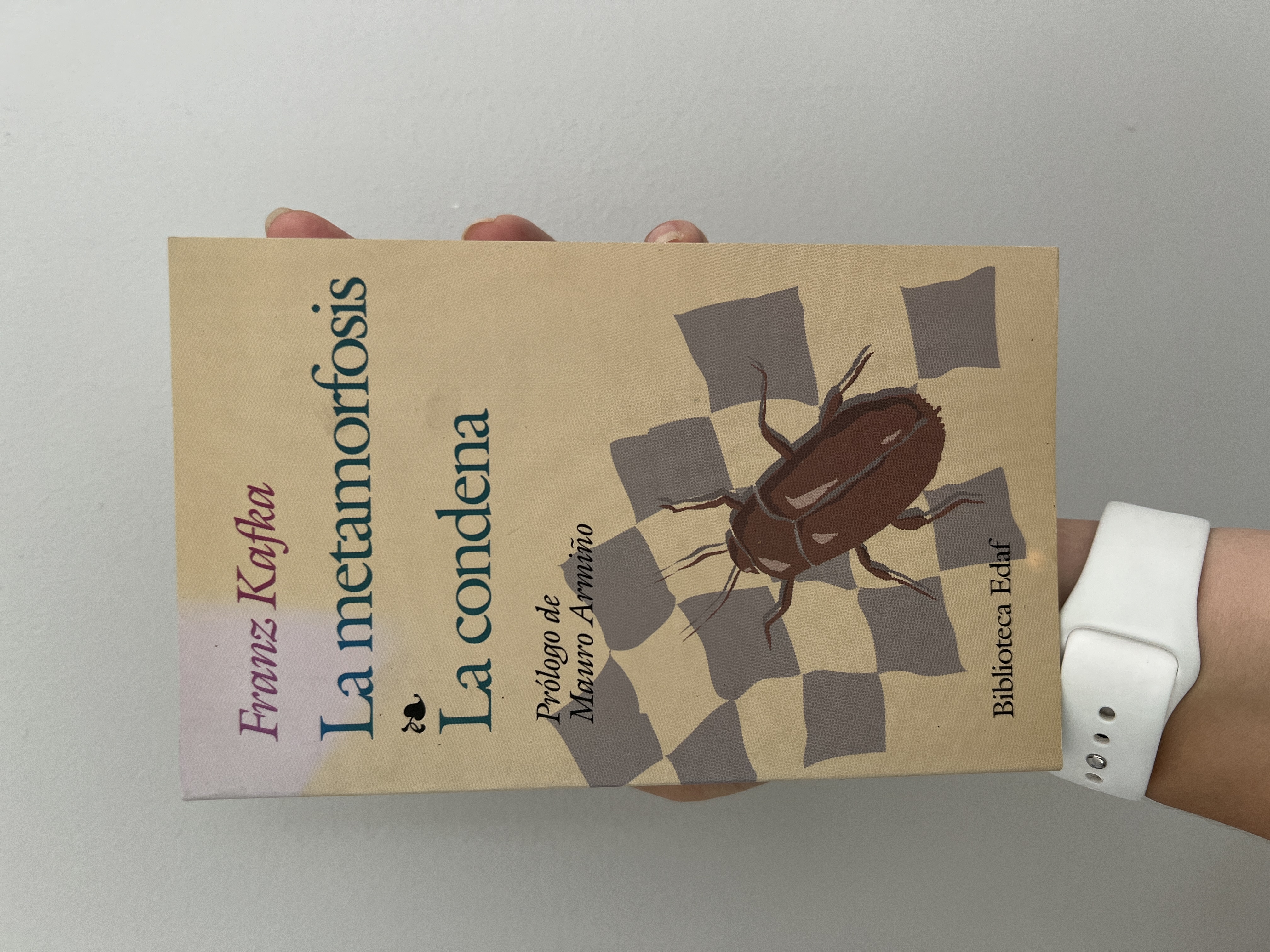 La Metamorfosis, la Condena