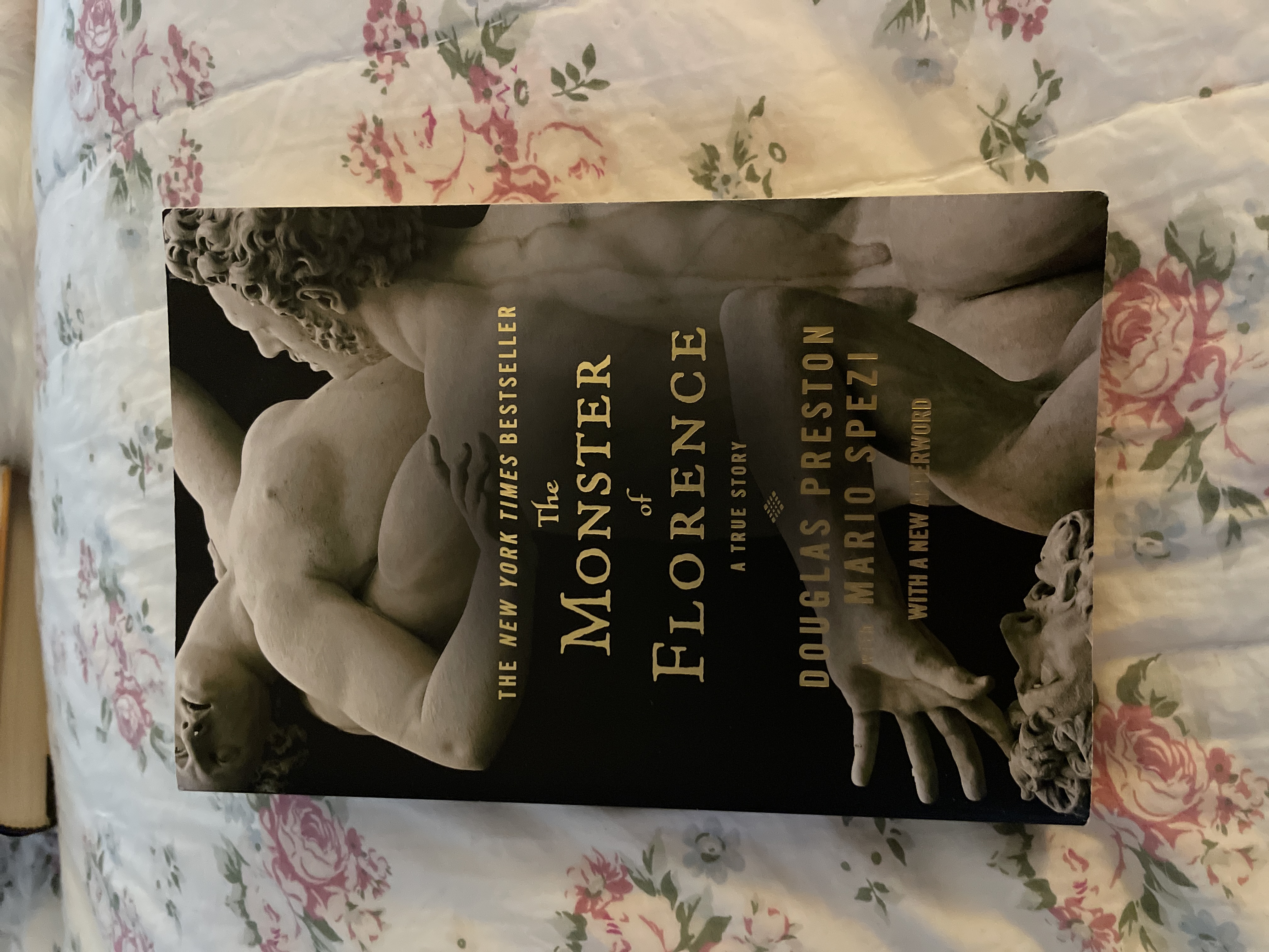 The Monster of Florence