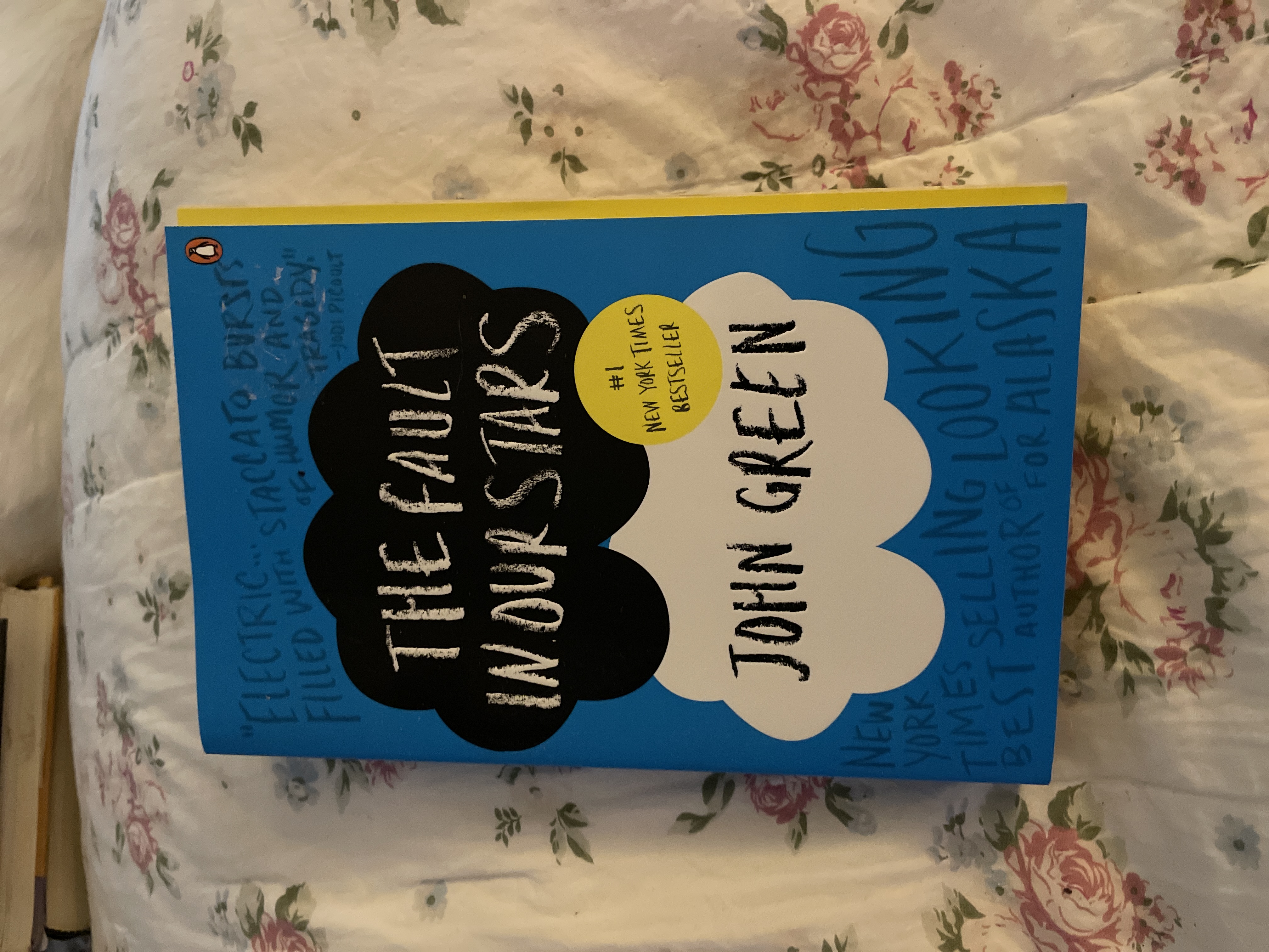 The Fault in Our Stars