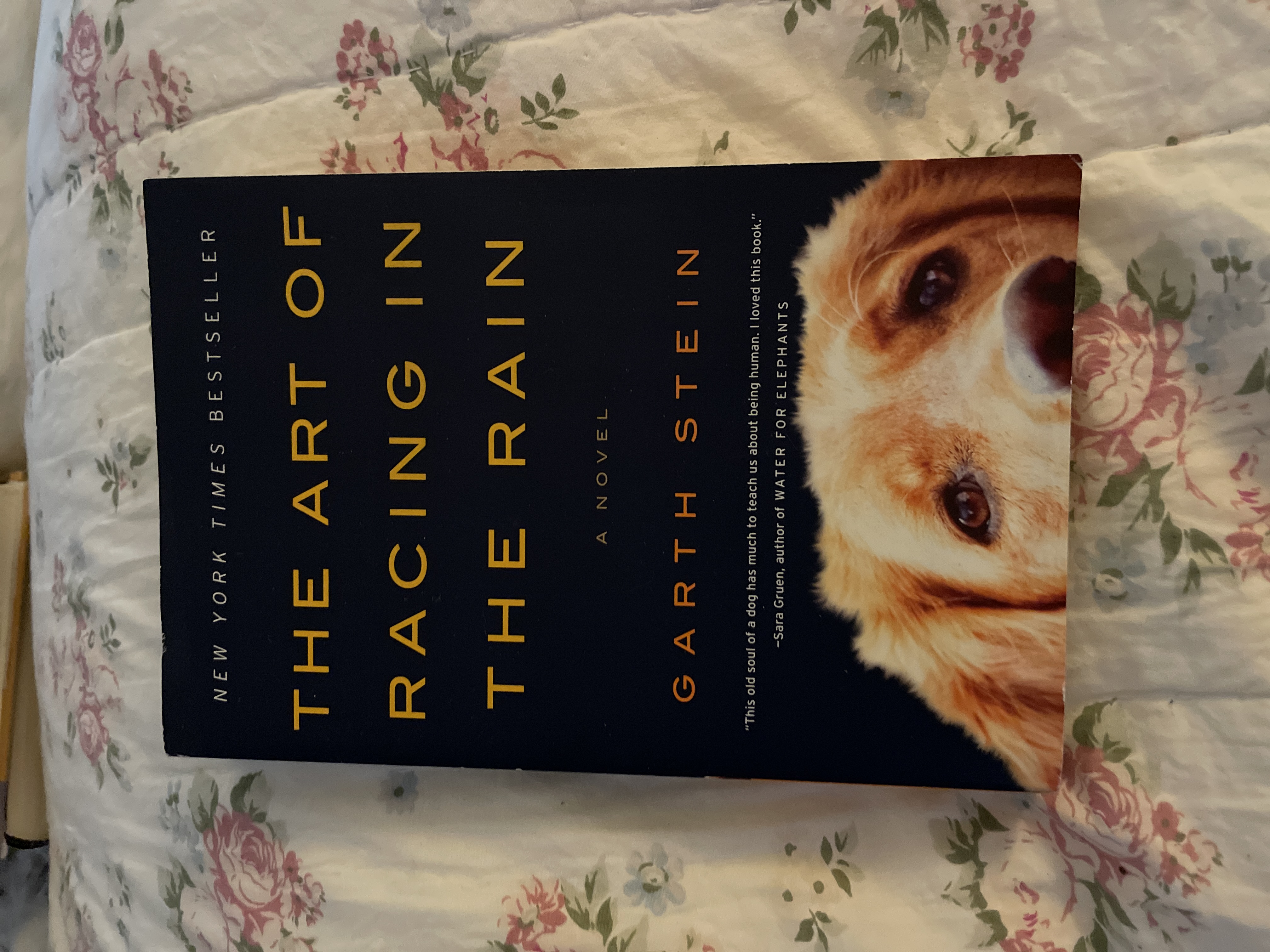 The Art of Racing in the Rain