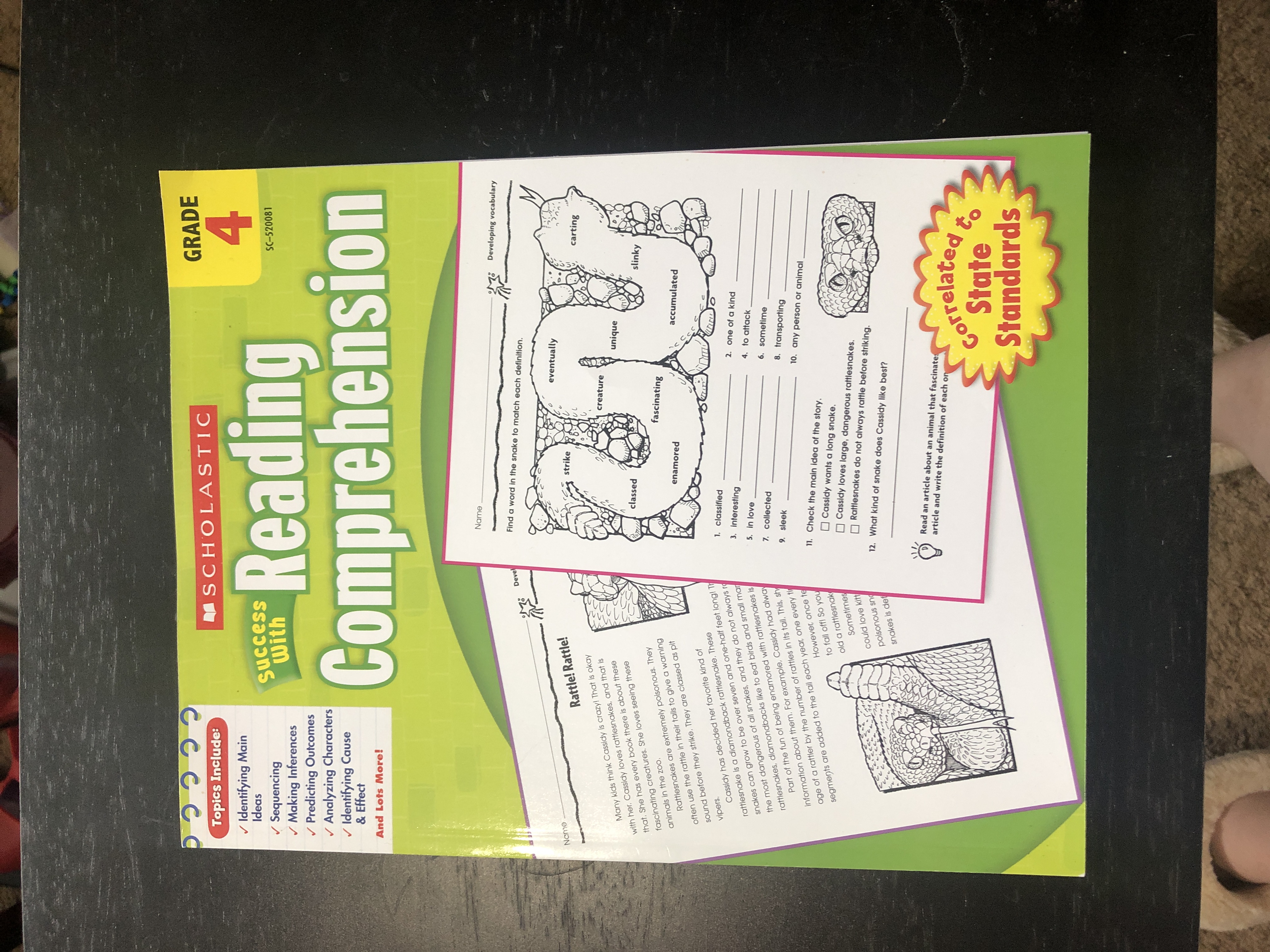 Reading Comprehension
