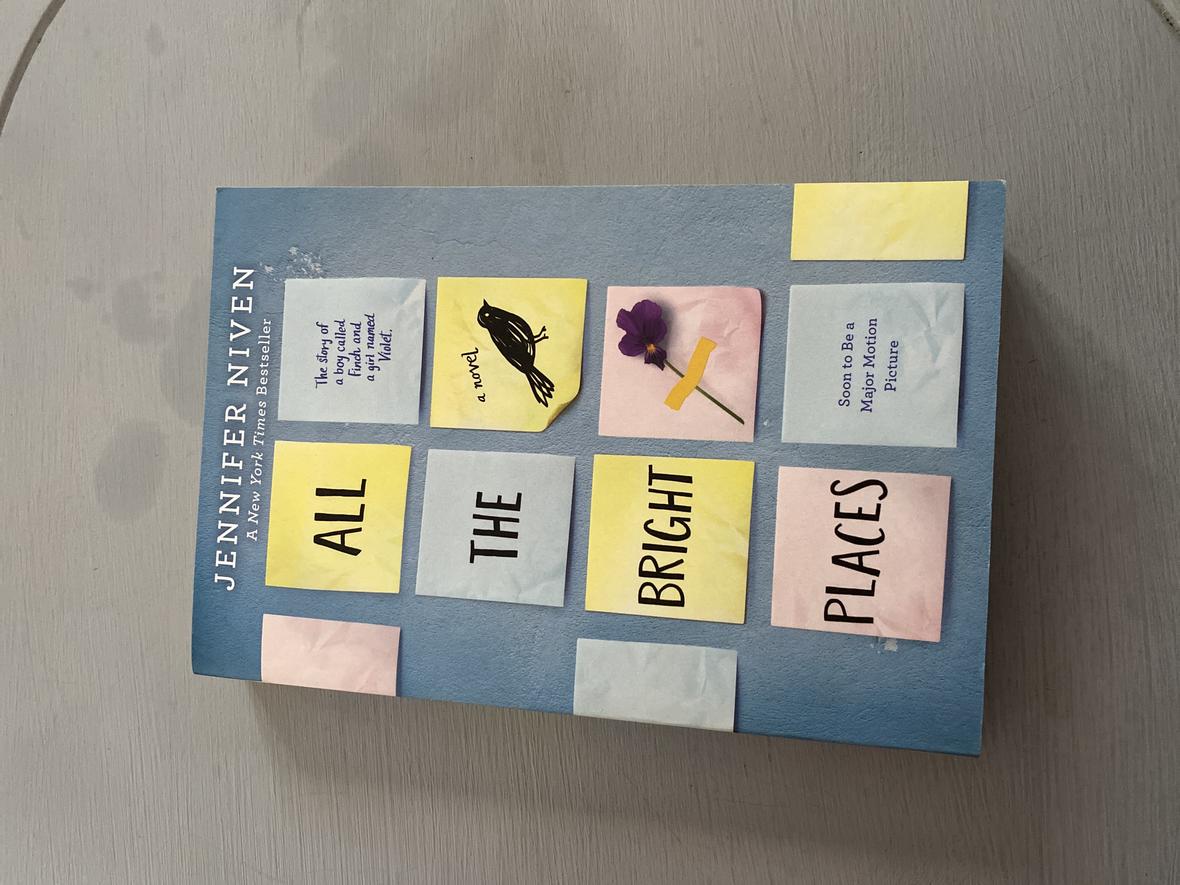 All the Bright Places