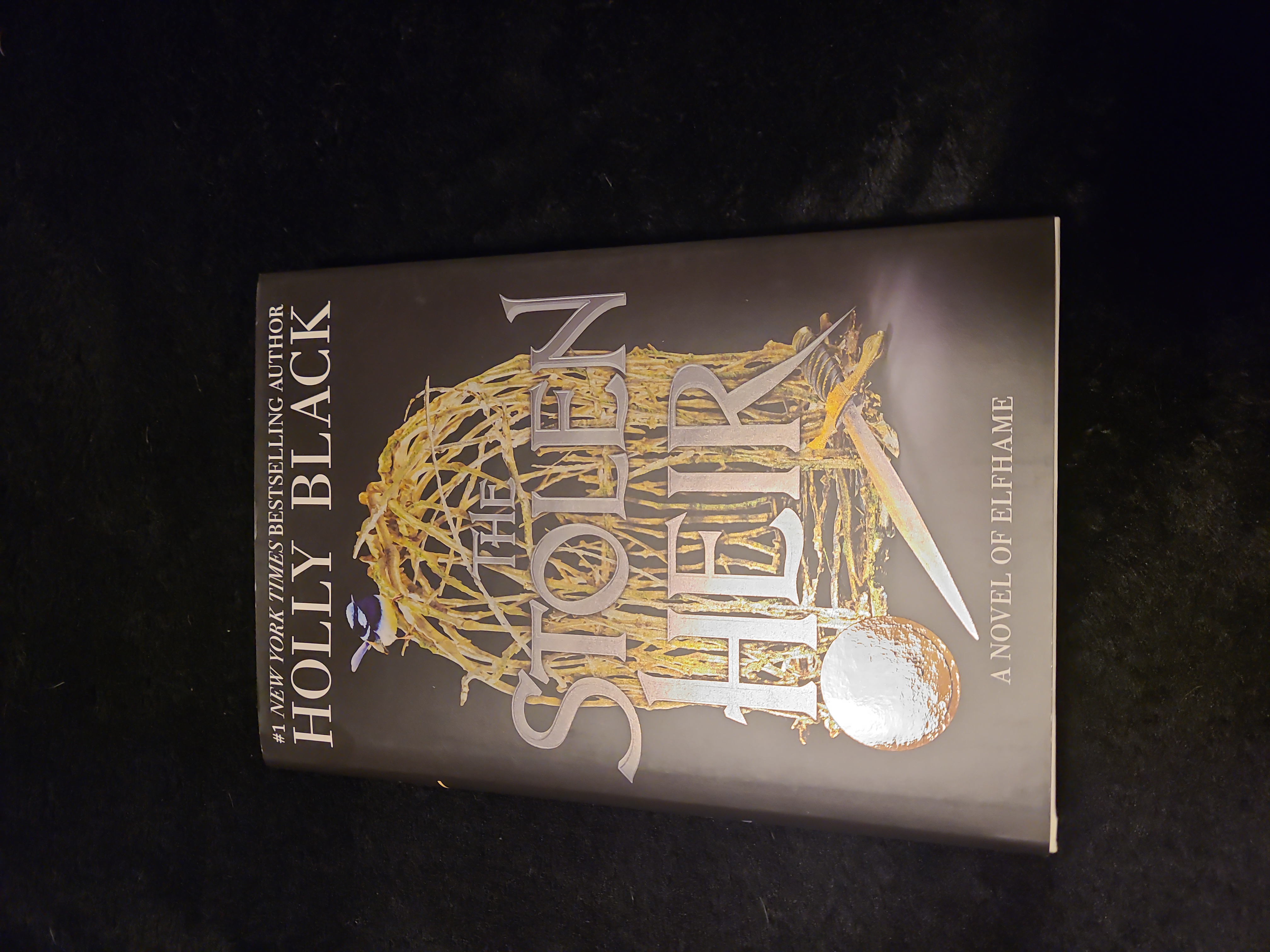 The Stolen Heir