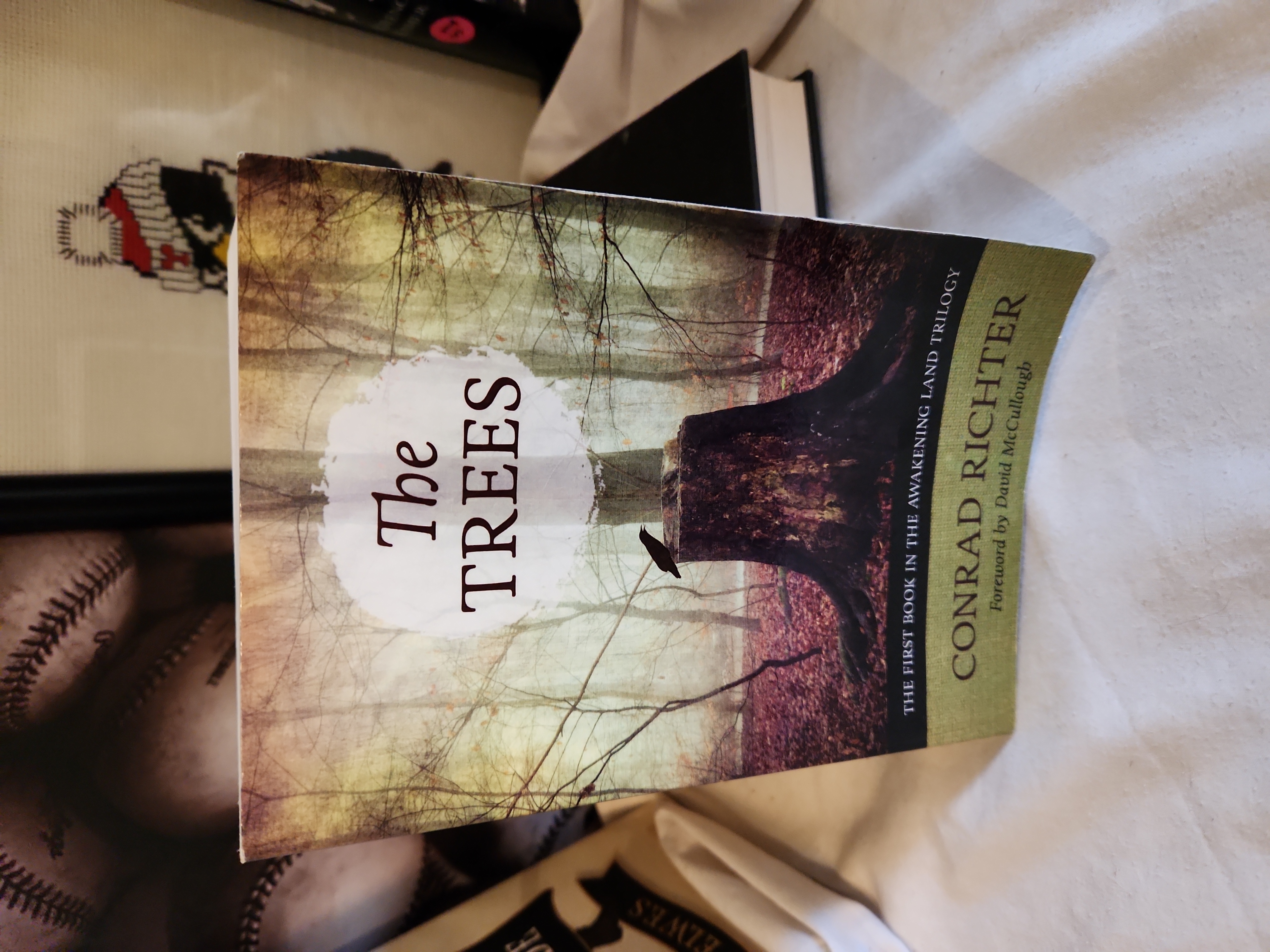 The Trees