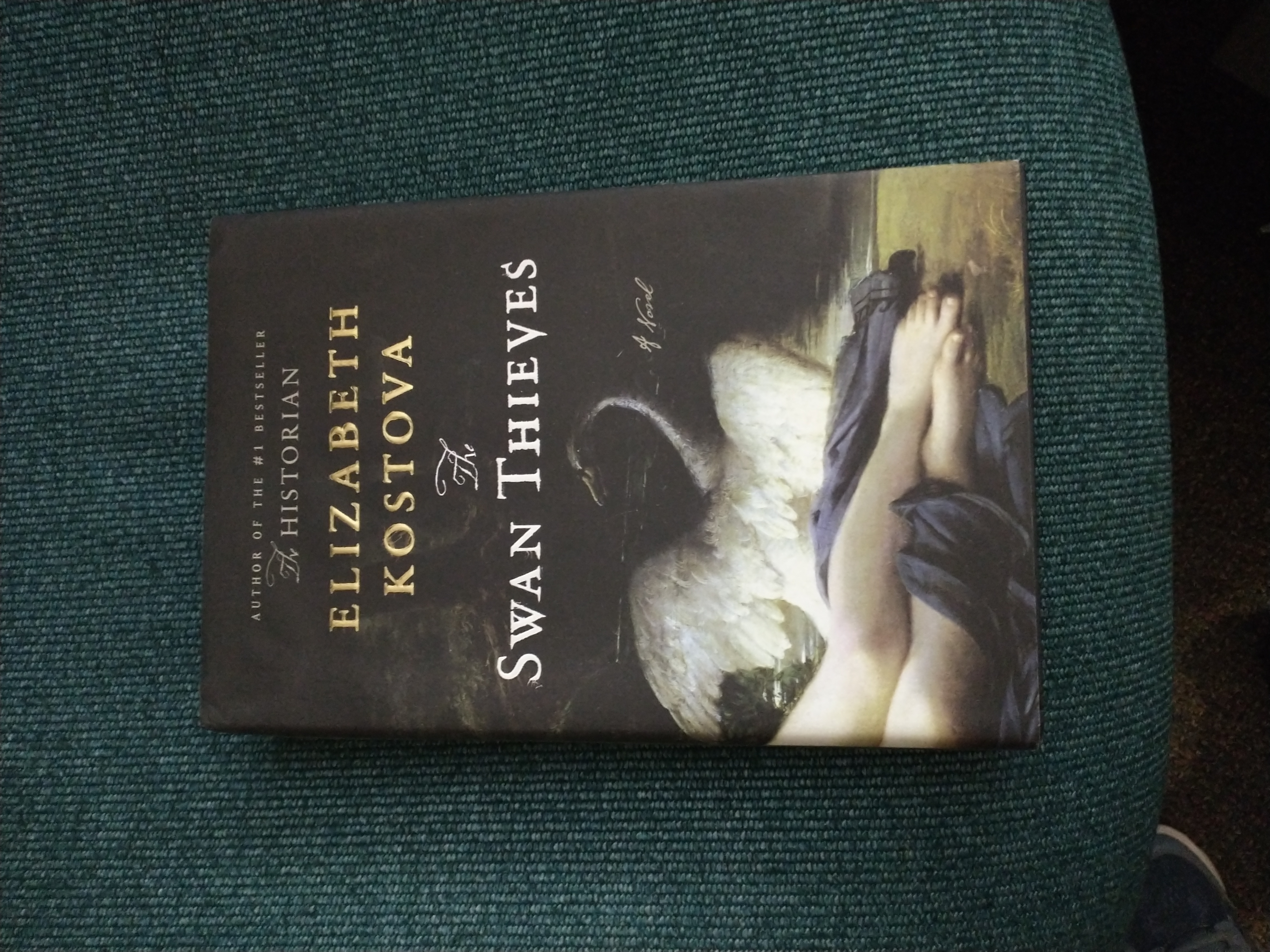 The Swan Thieves