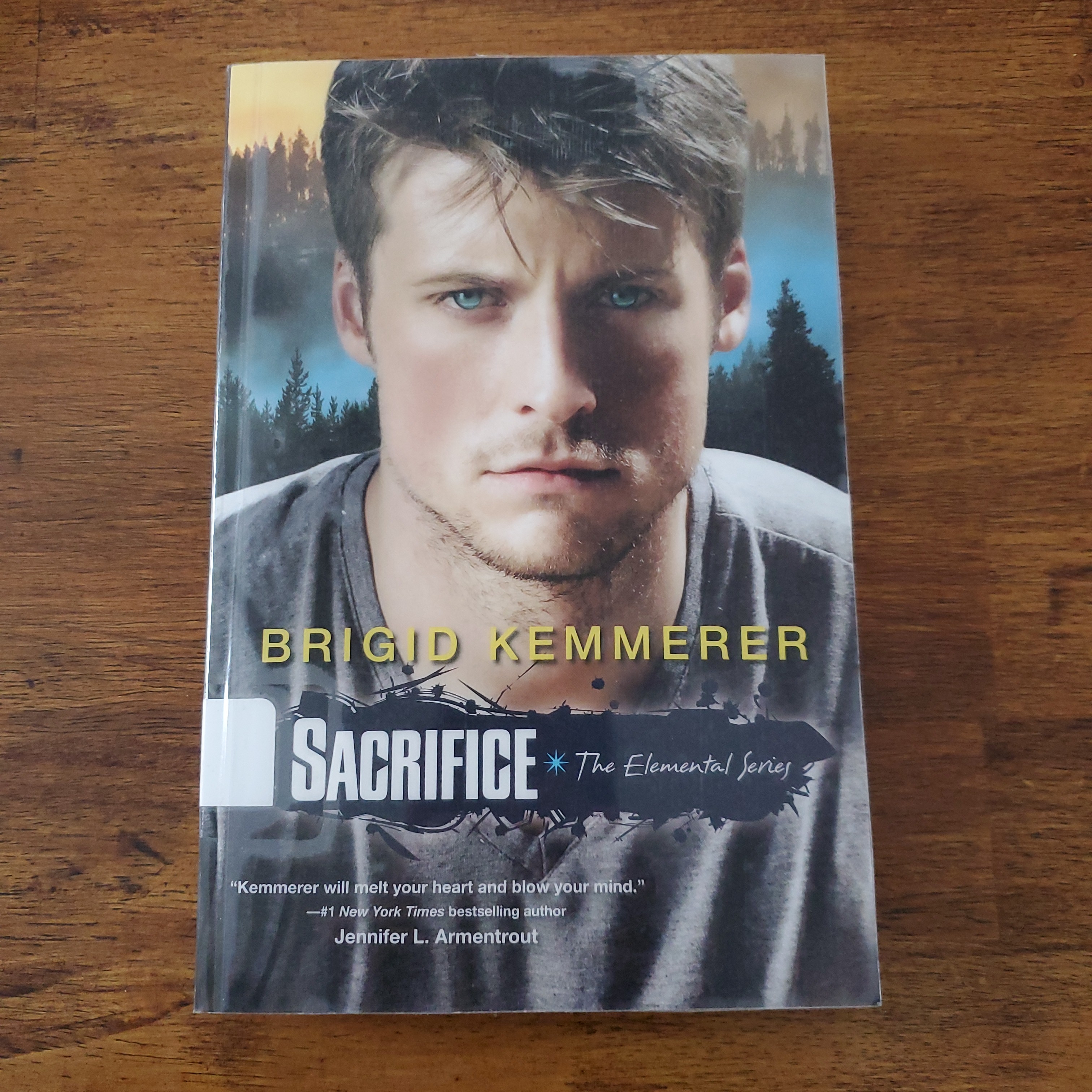 Sacrifice Elemental Series