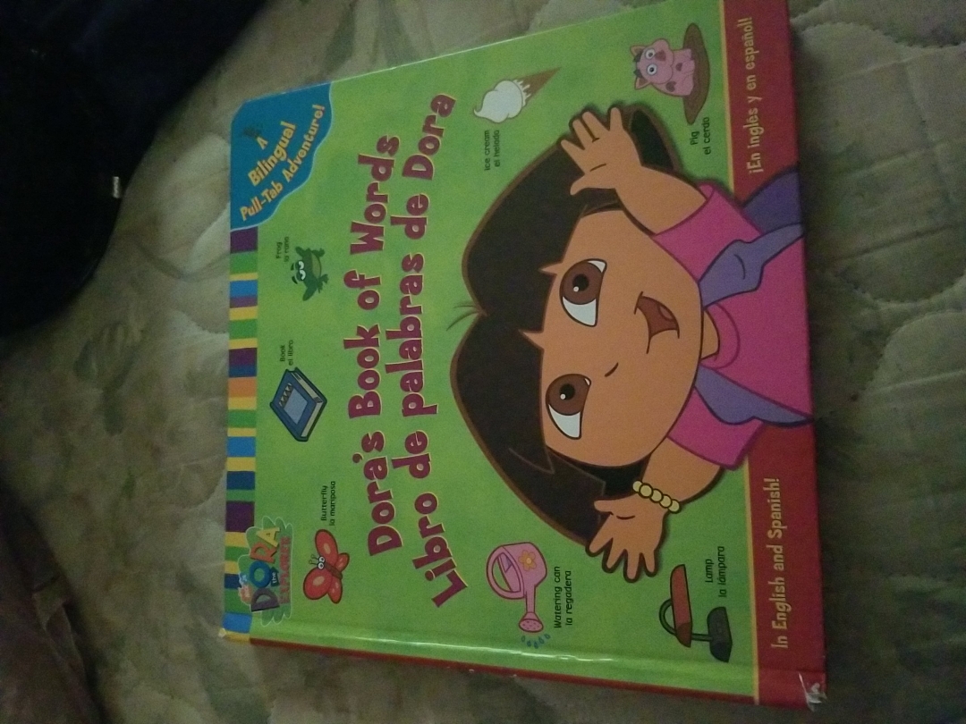 Dora's Book of Words (Libro de Palabras de Dora)