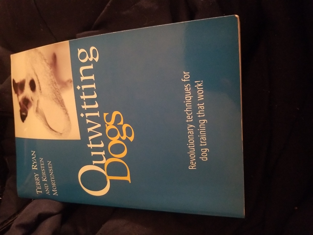 Outwitting Dogs