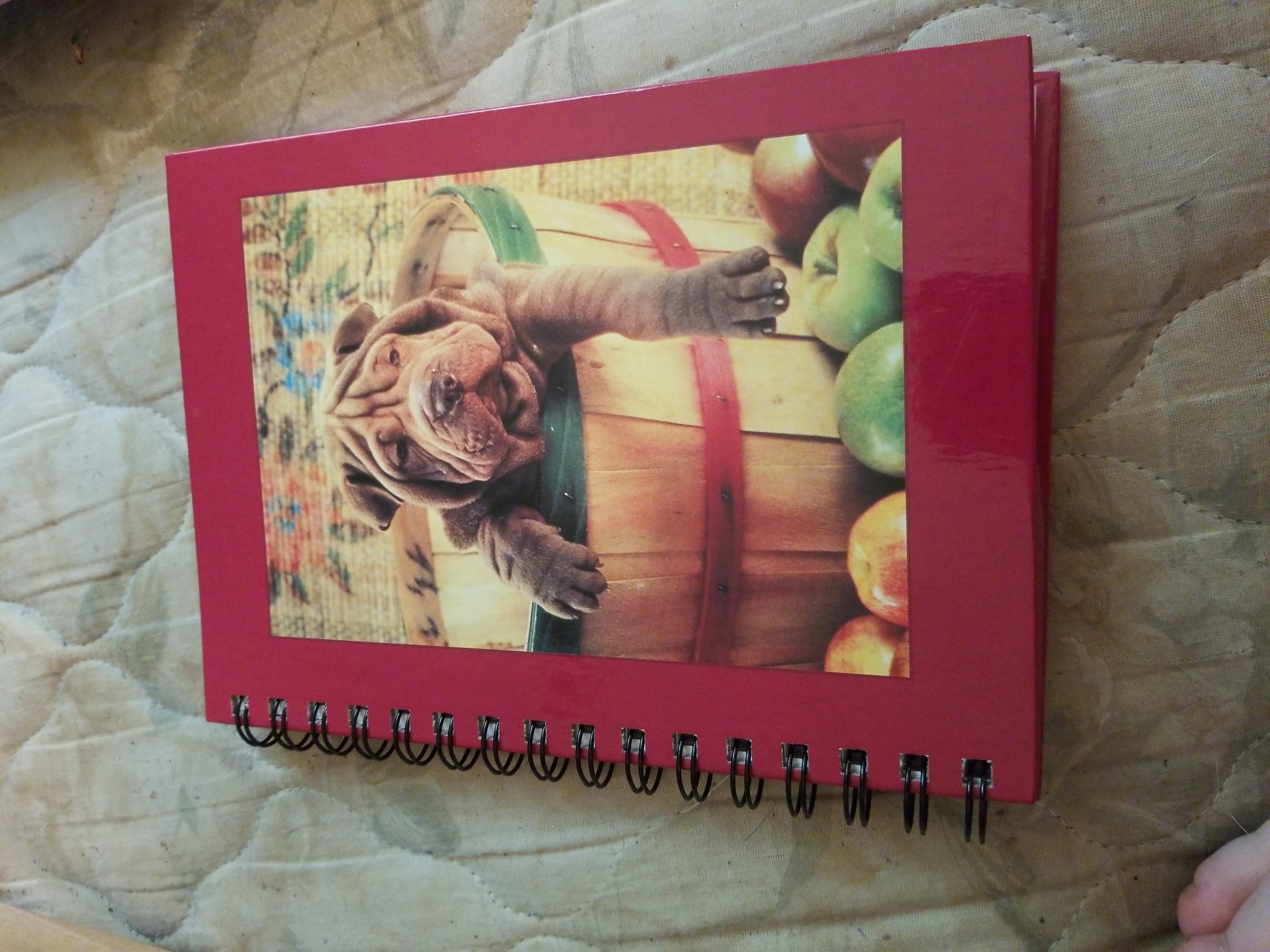 Shar-Pei with Apples Journal