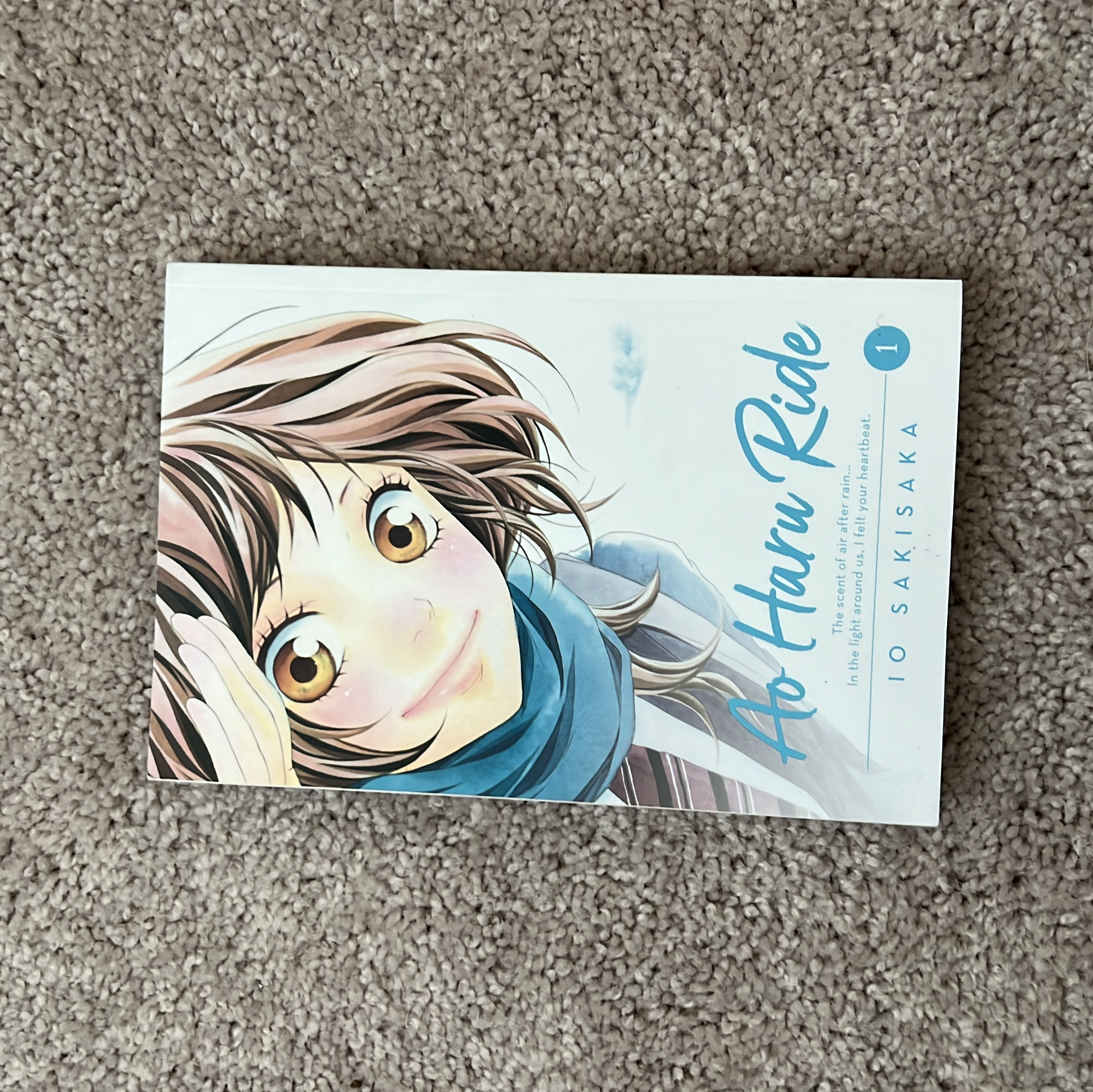 Ao Haru Ride, Vol. 1