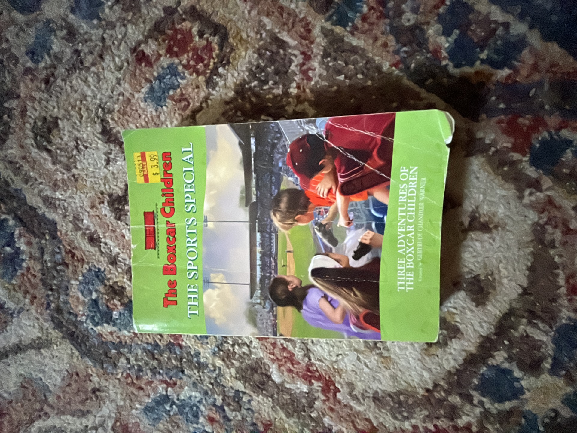 The Boxcar Children the Sports Special