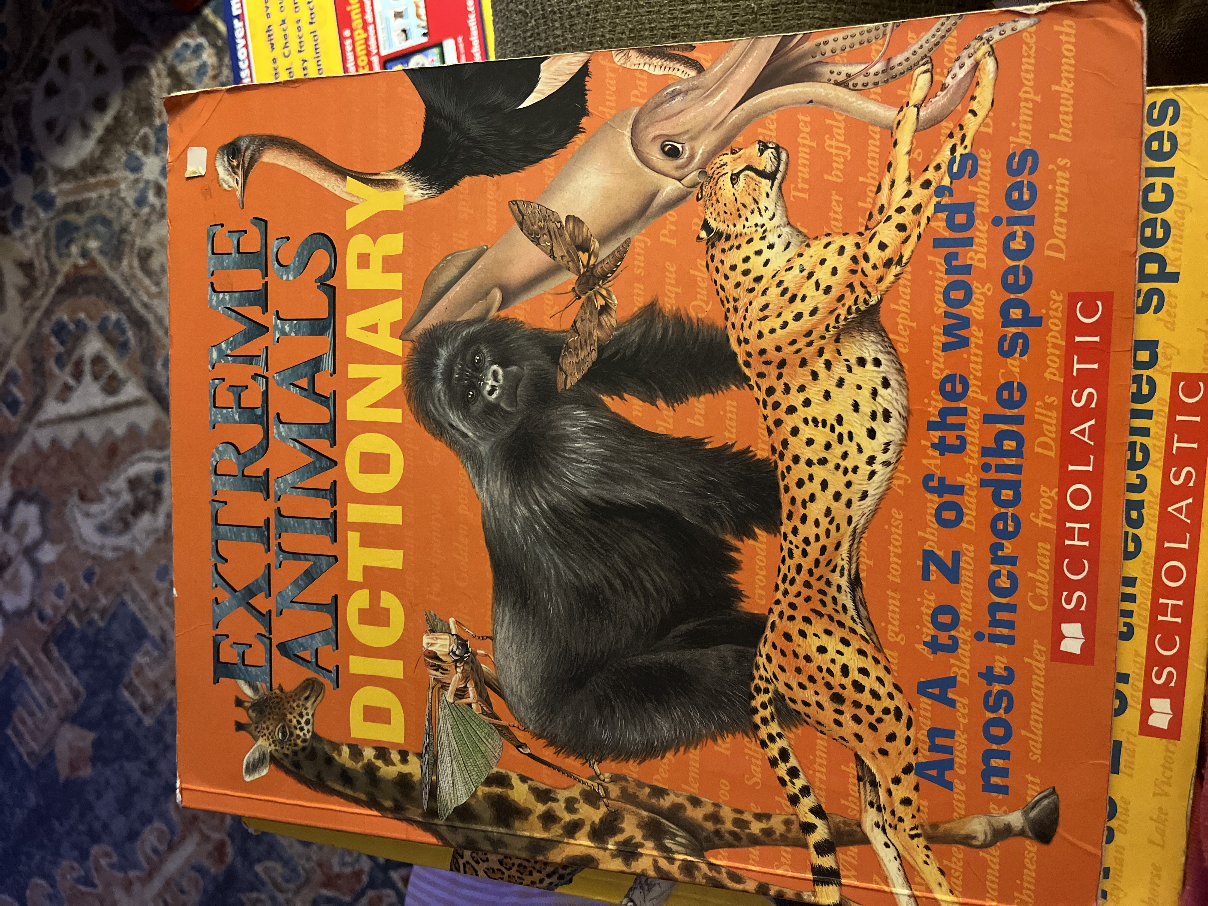 Extreme Animals Dictionary