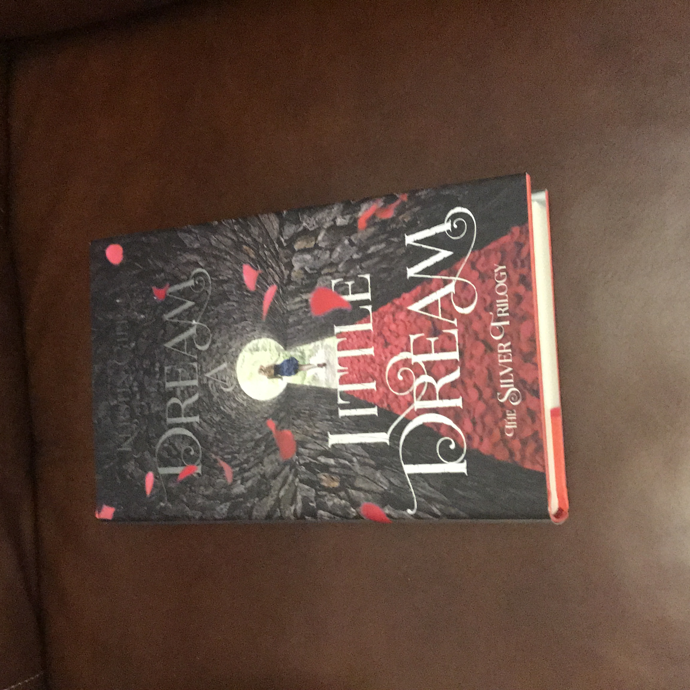 Dream a Little Dream