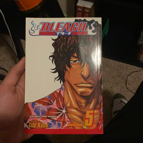 Bleach, Vol. 5