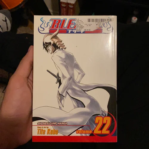 Bleach, Vol. 22