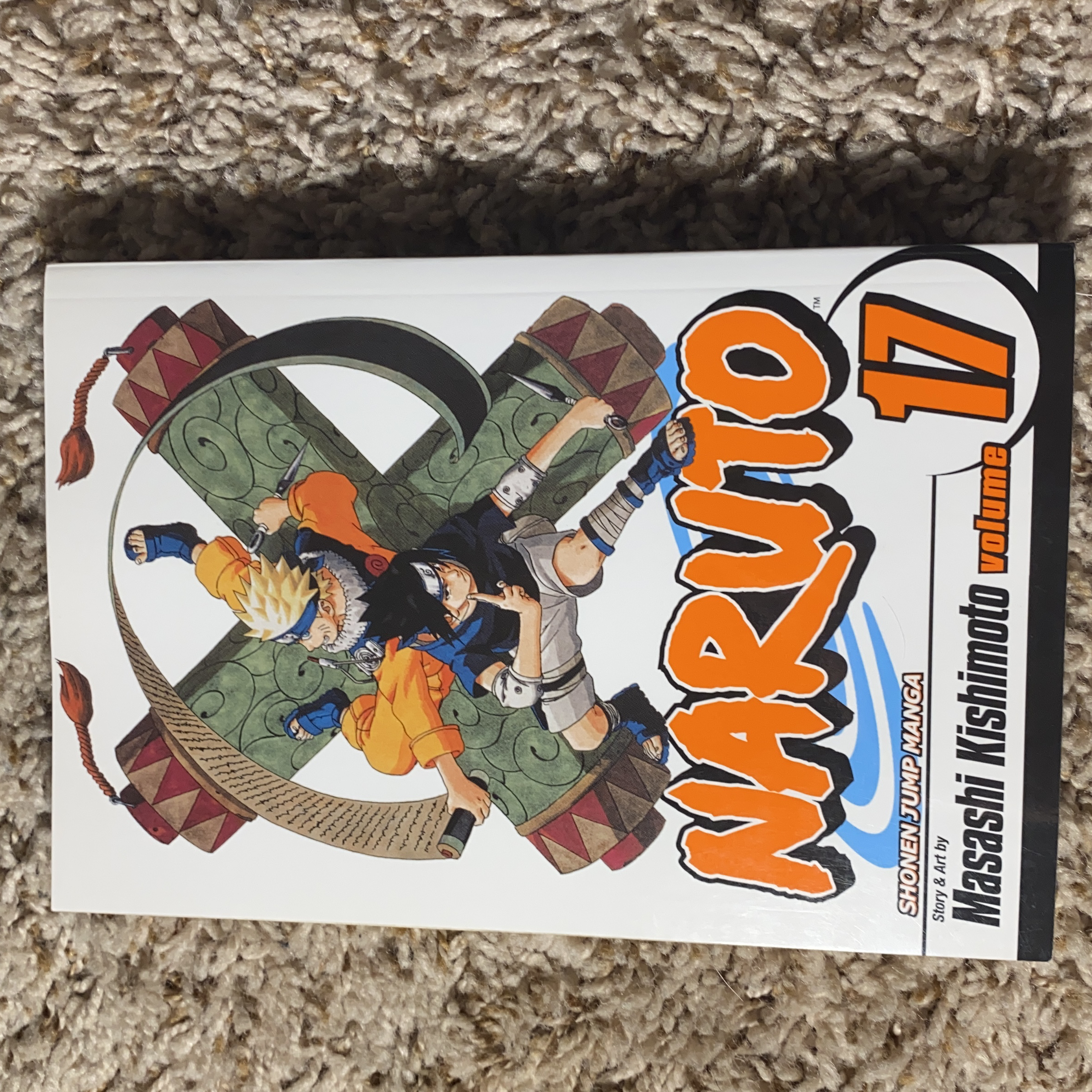 Naruto, Vol. 17