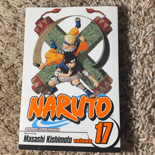 Naruto, Vol. 17