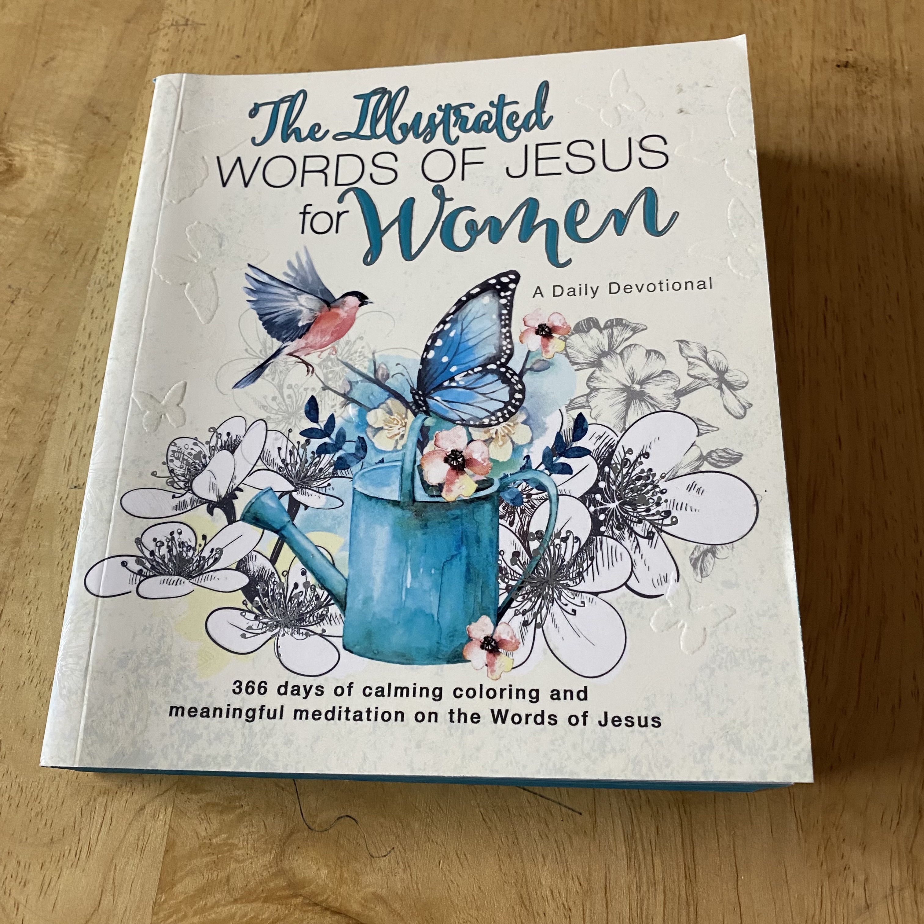 Illustrated Words Jesus for Women Devotional Book