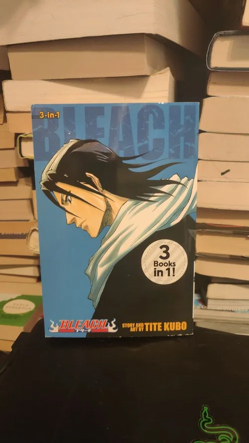Bleach (3-In-1 Edition), Vol. 3