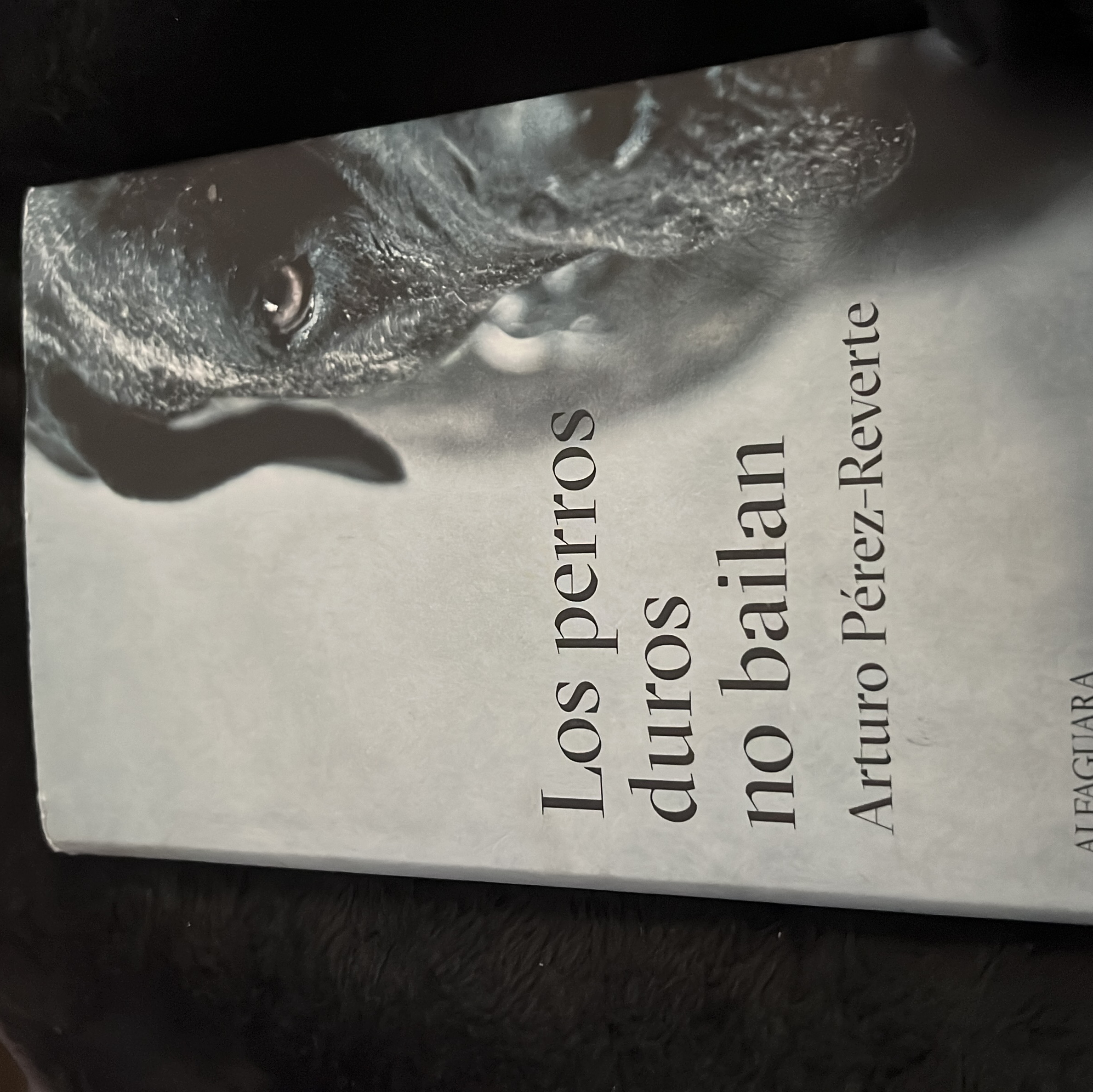 Los Perros Duros No Bailan / Tough Dogs Don't Dance