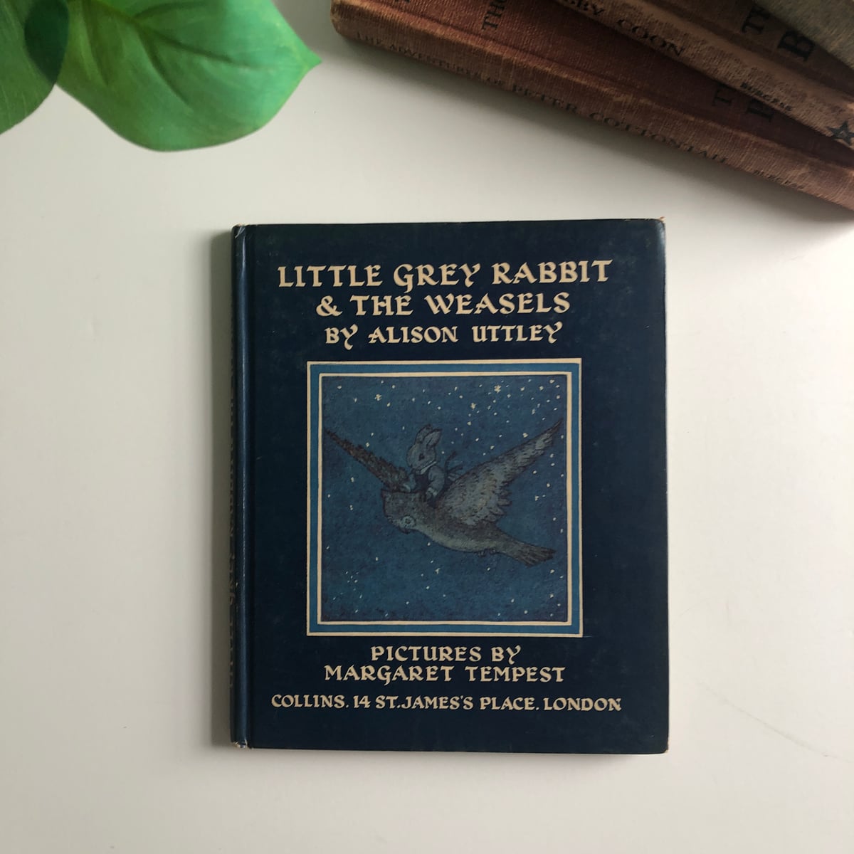 Little Grey Rabbit's Washing Day by Alison Uttley