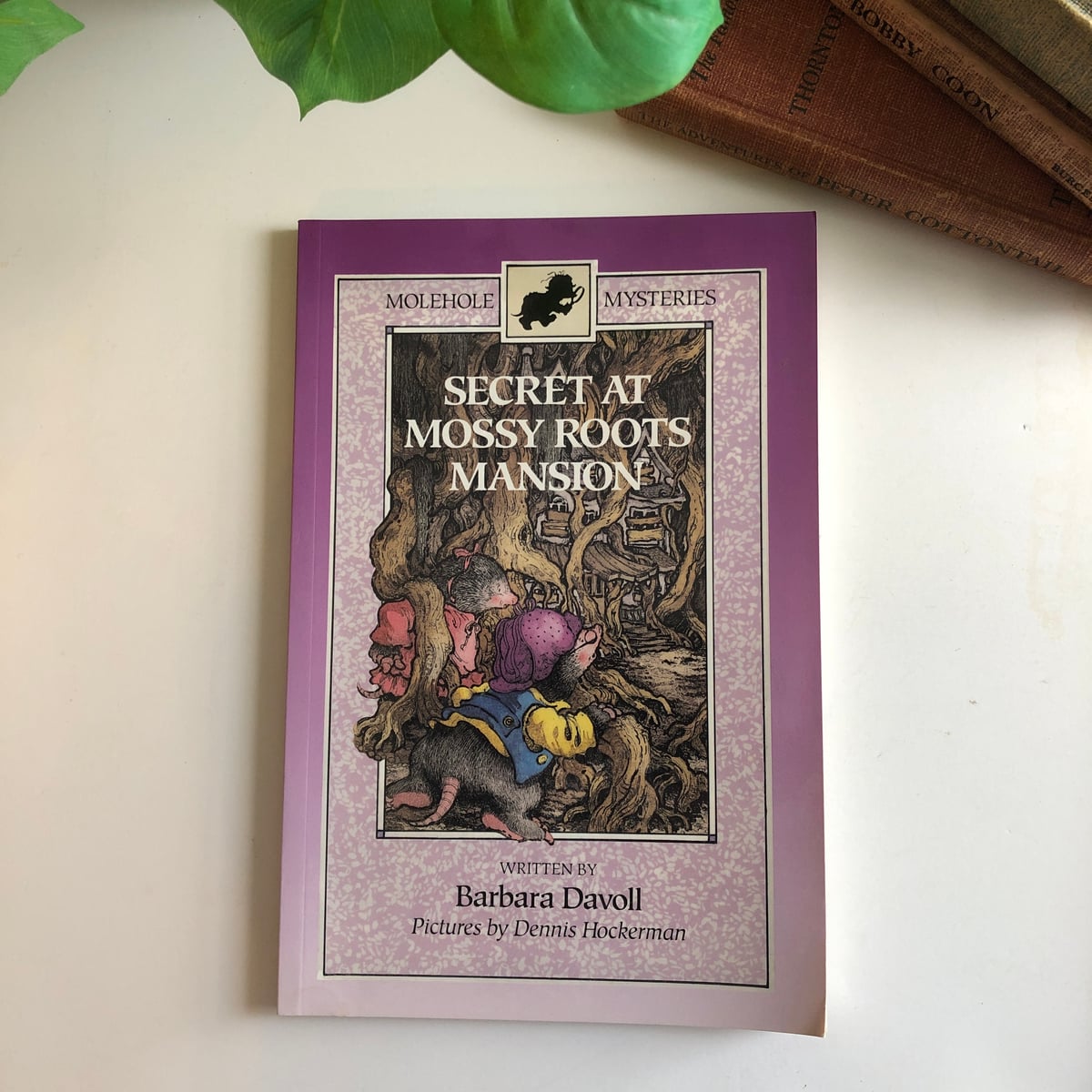 Secret at Mossy Root Mansion by Barbara Davoll