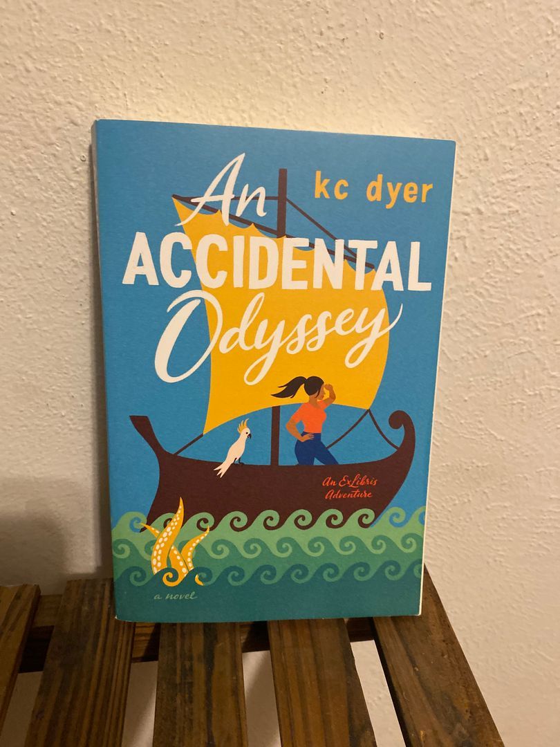 An Accidental Odyssey