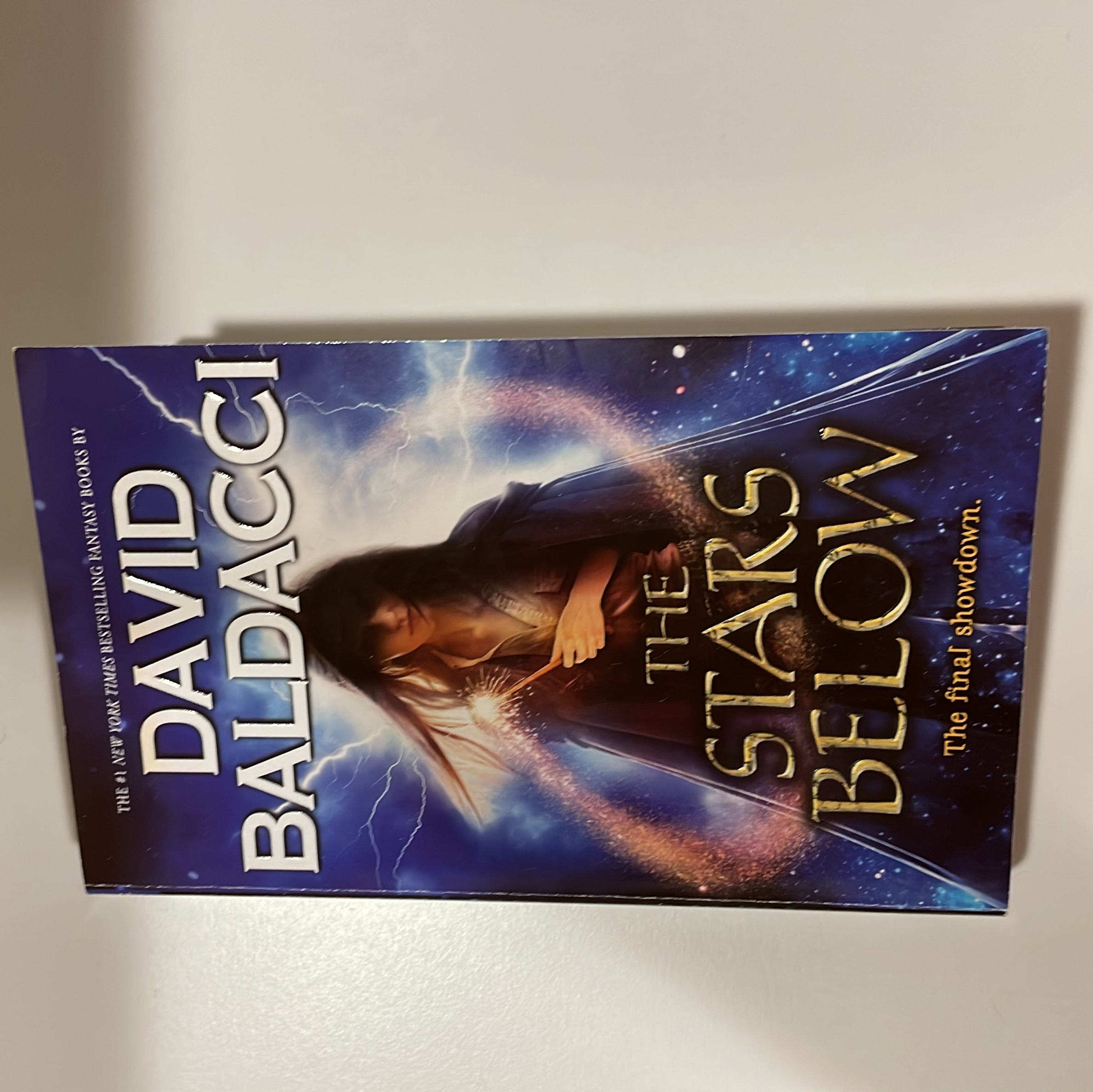 The Stars below (Vega Jane, Book 4)