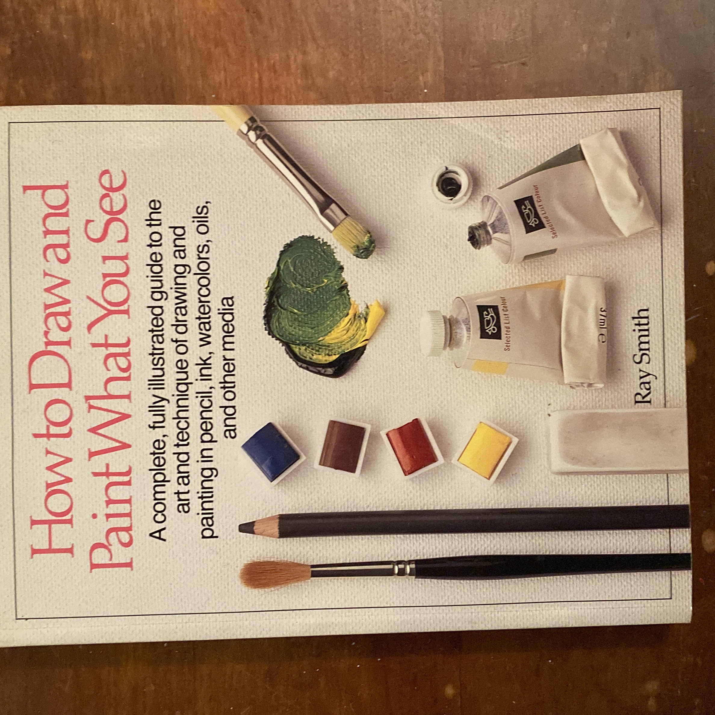 How to Draw and Paint What You See