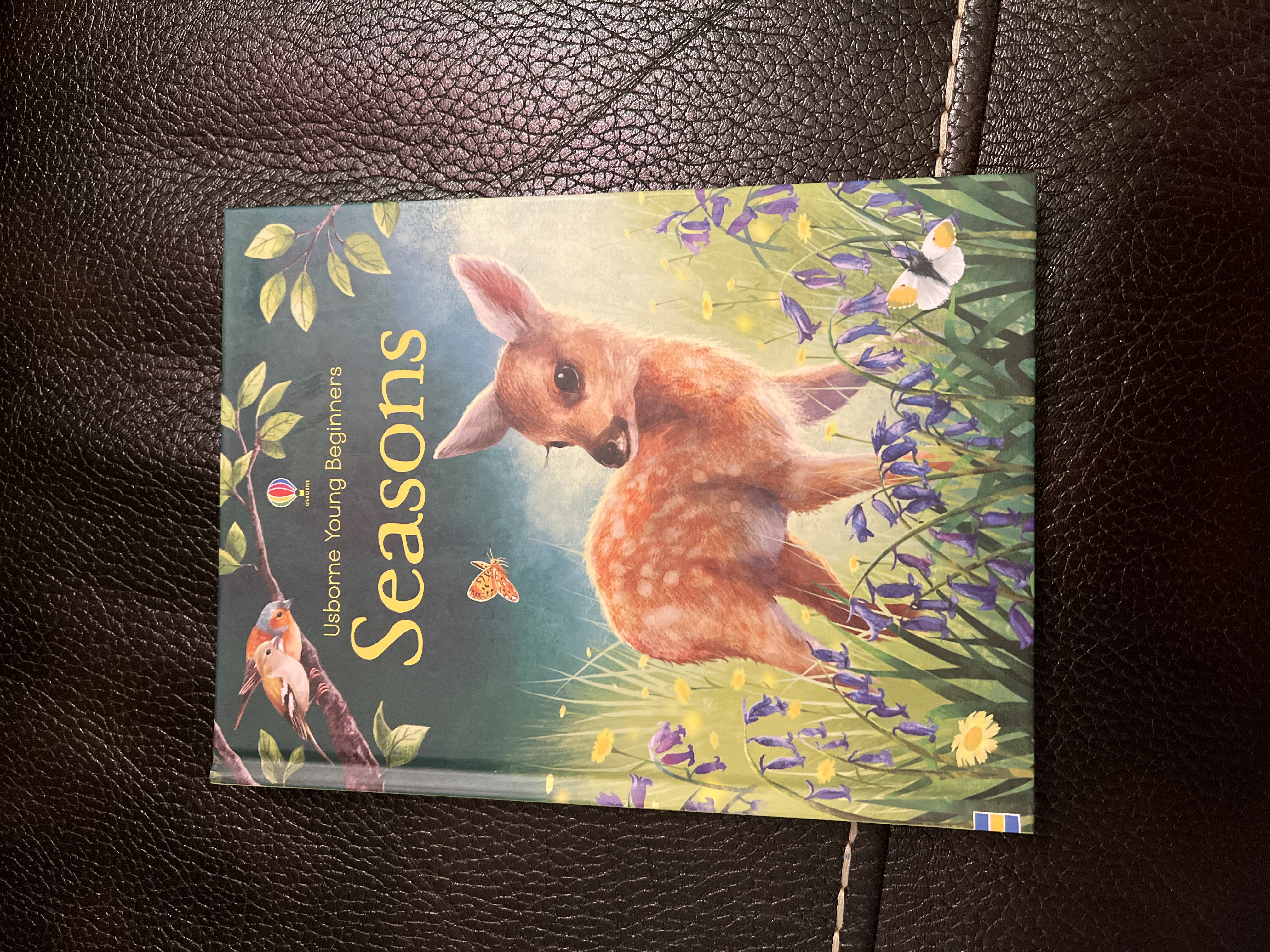 Sale image for 81df78b5-92de-46d7-a629-21ae1a6d0ae1-SL4JMpcjwReyHM6EJOxAxN9g5mq2