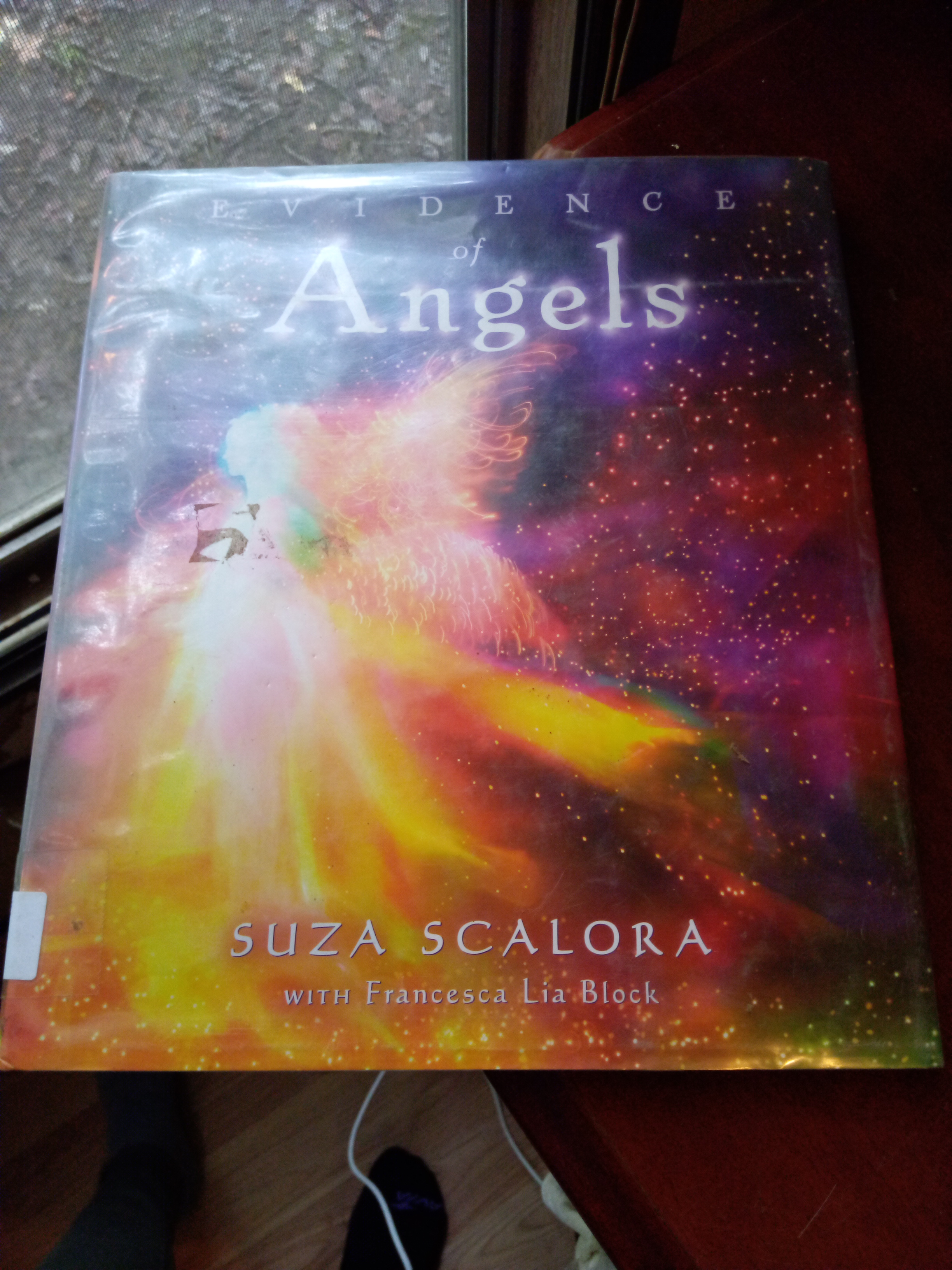 Evidence of Angels