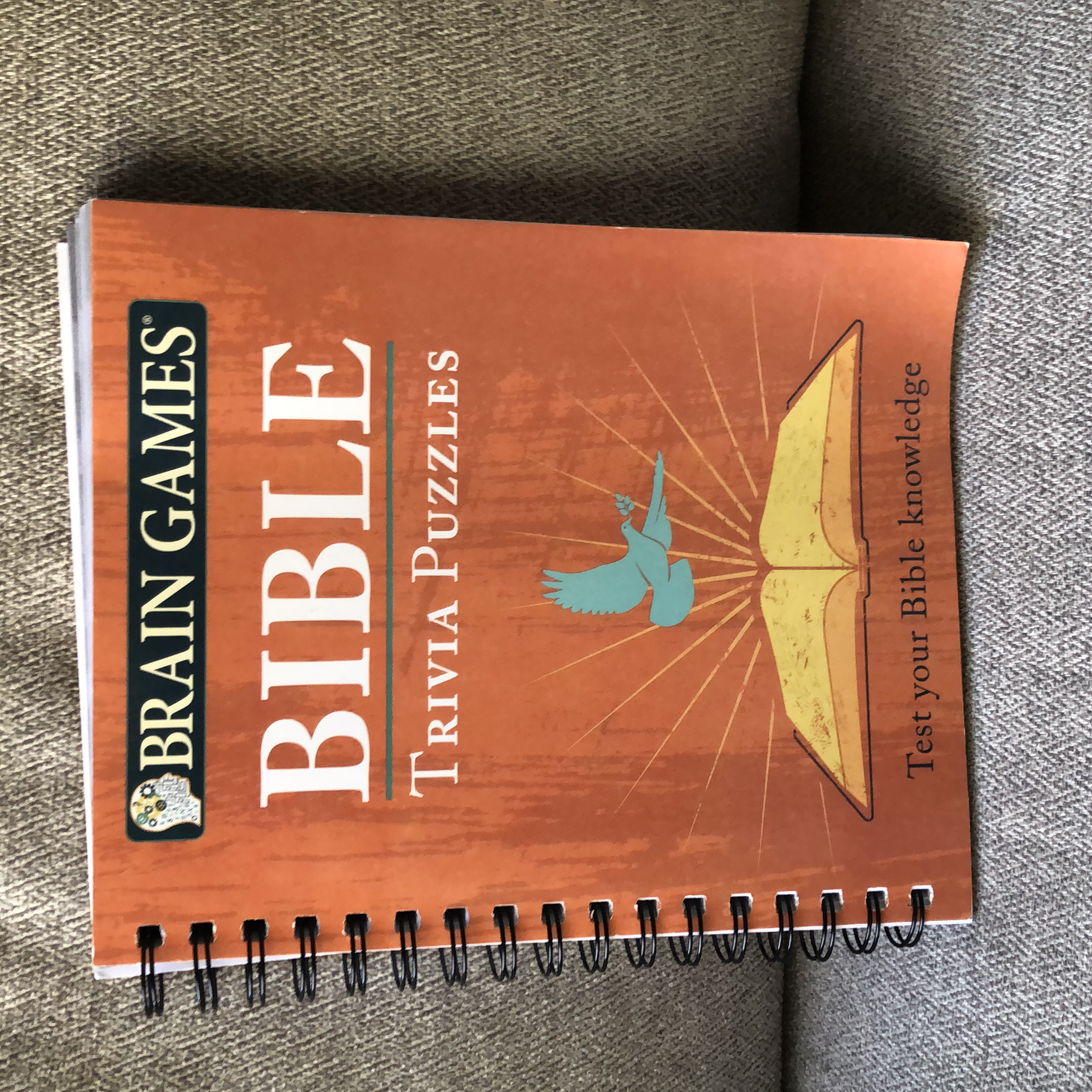 Brain Games Bible Trivia Puzzles