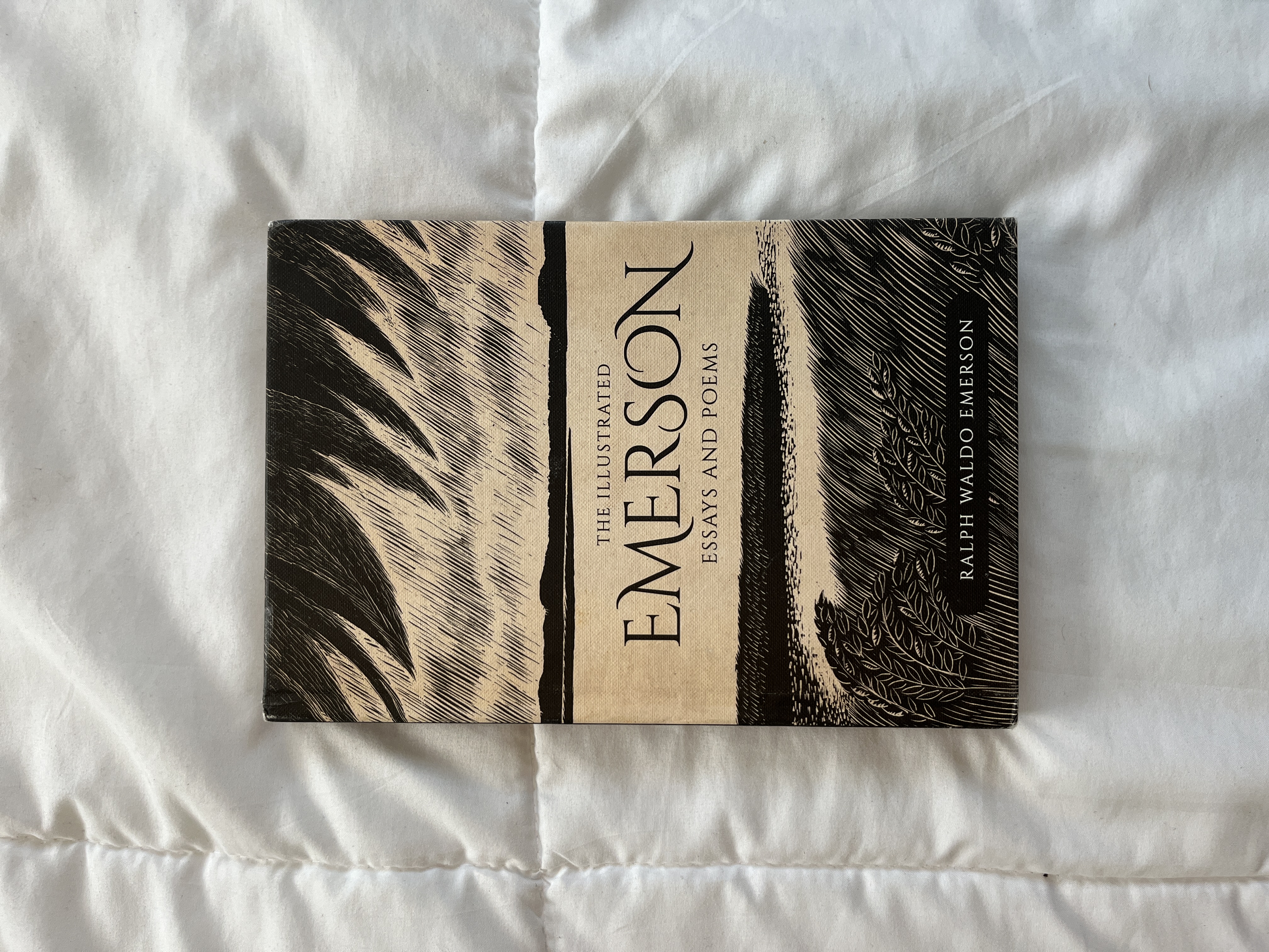 The Illustrated Emerson