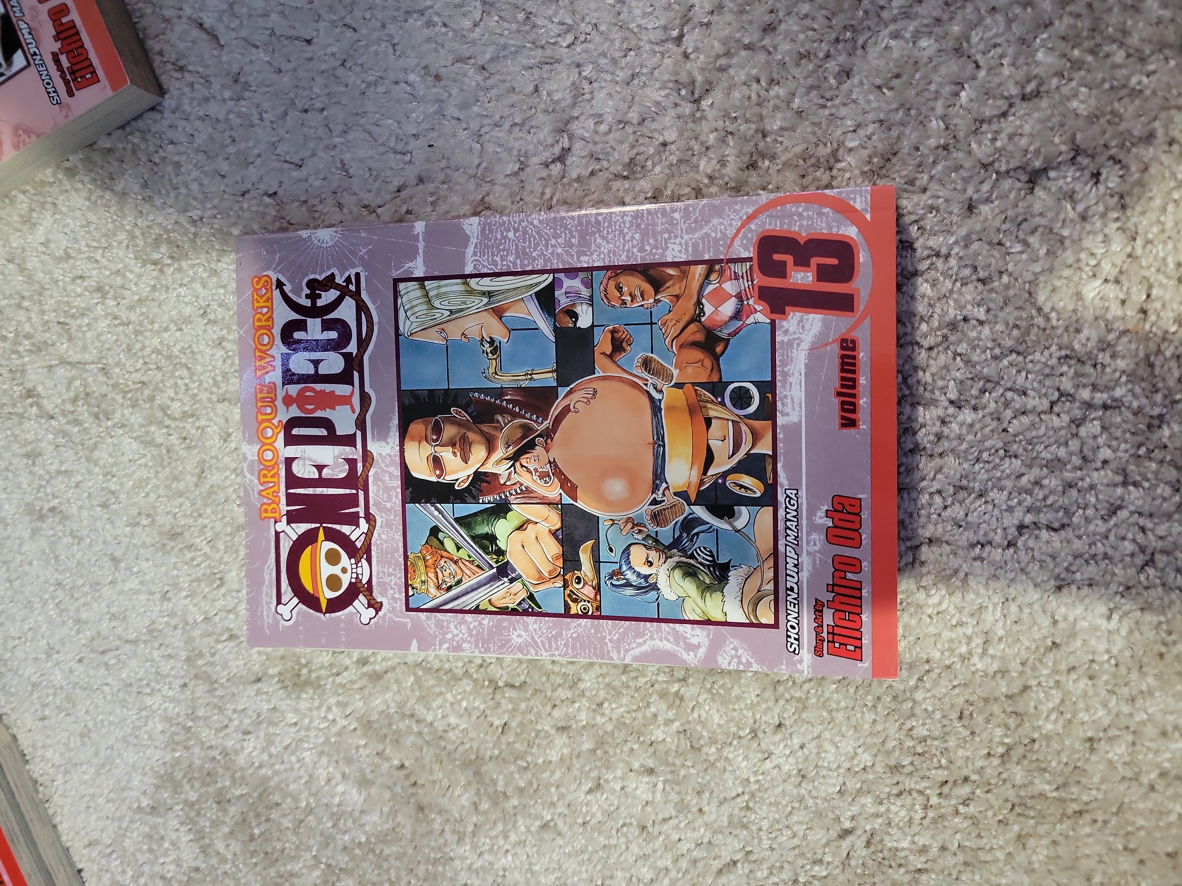 One Piece, Vol. 13