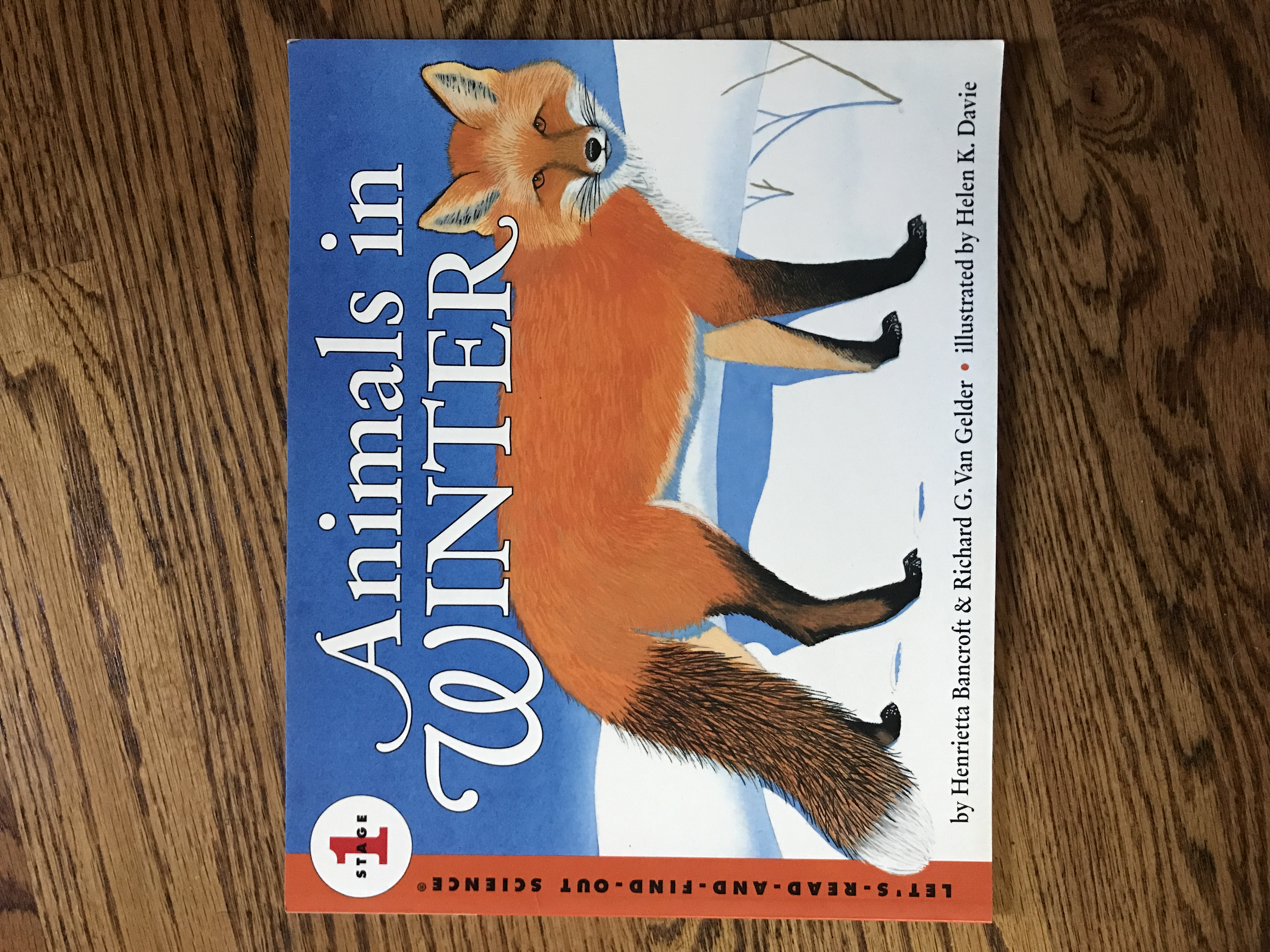 Animals in Winter