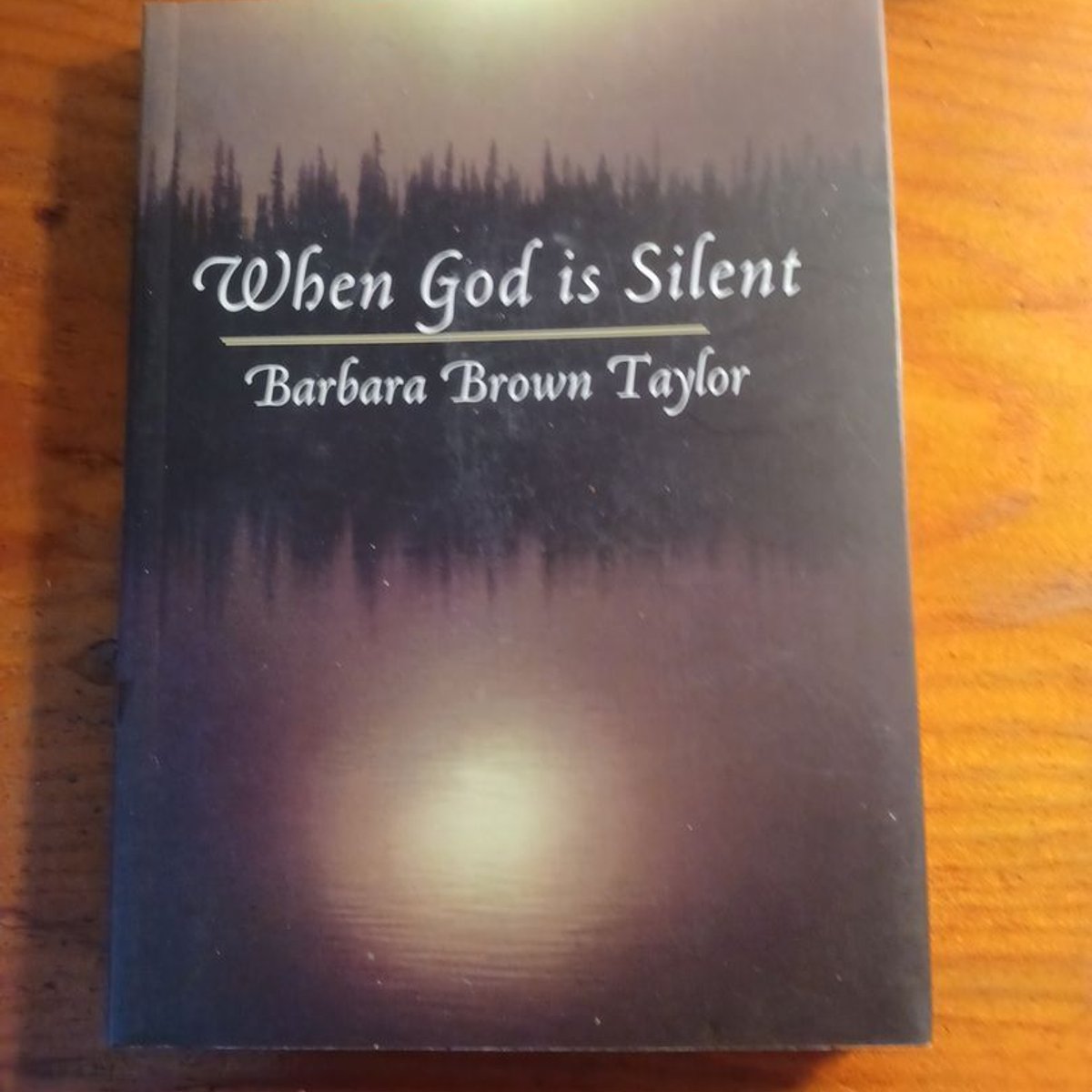When God Is Silent by Barbara Brown Taylor