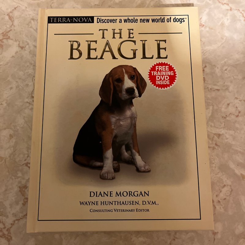 The Beagle