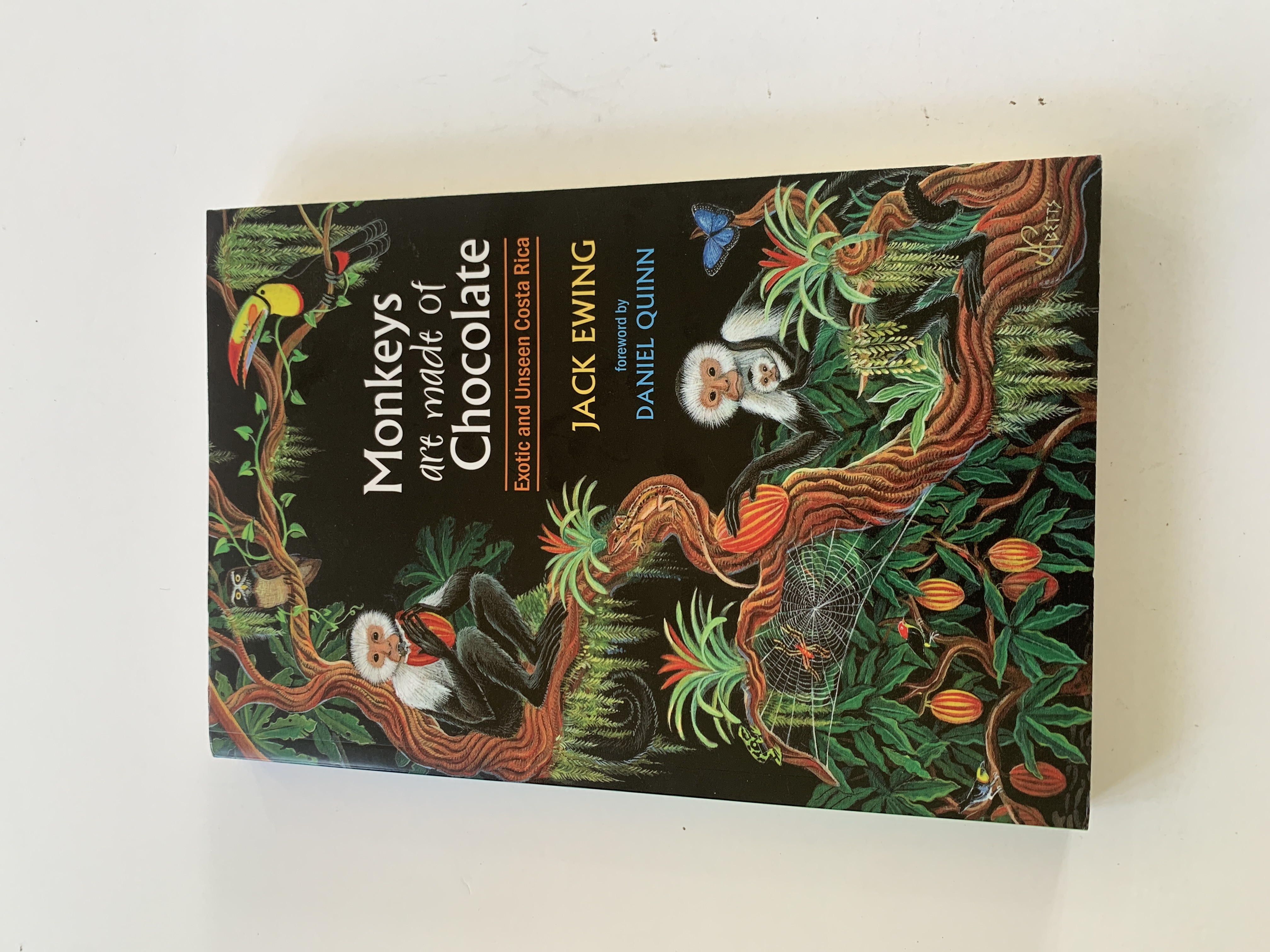 Monkeys Are Made of Chocolate